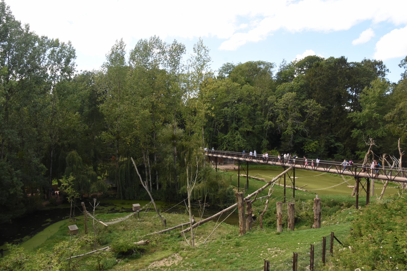 Lion-tailed Macaque, Binturong & Reeves' Muntjac enclosure