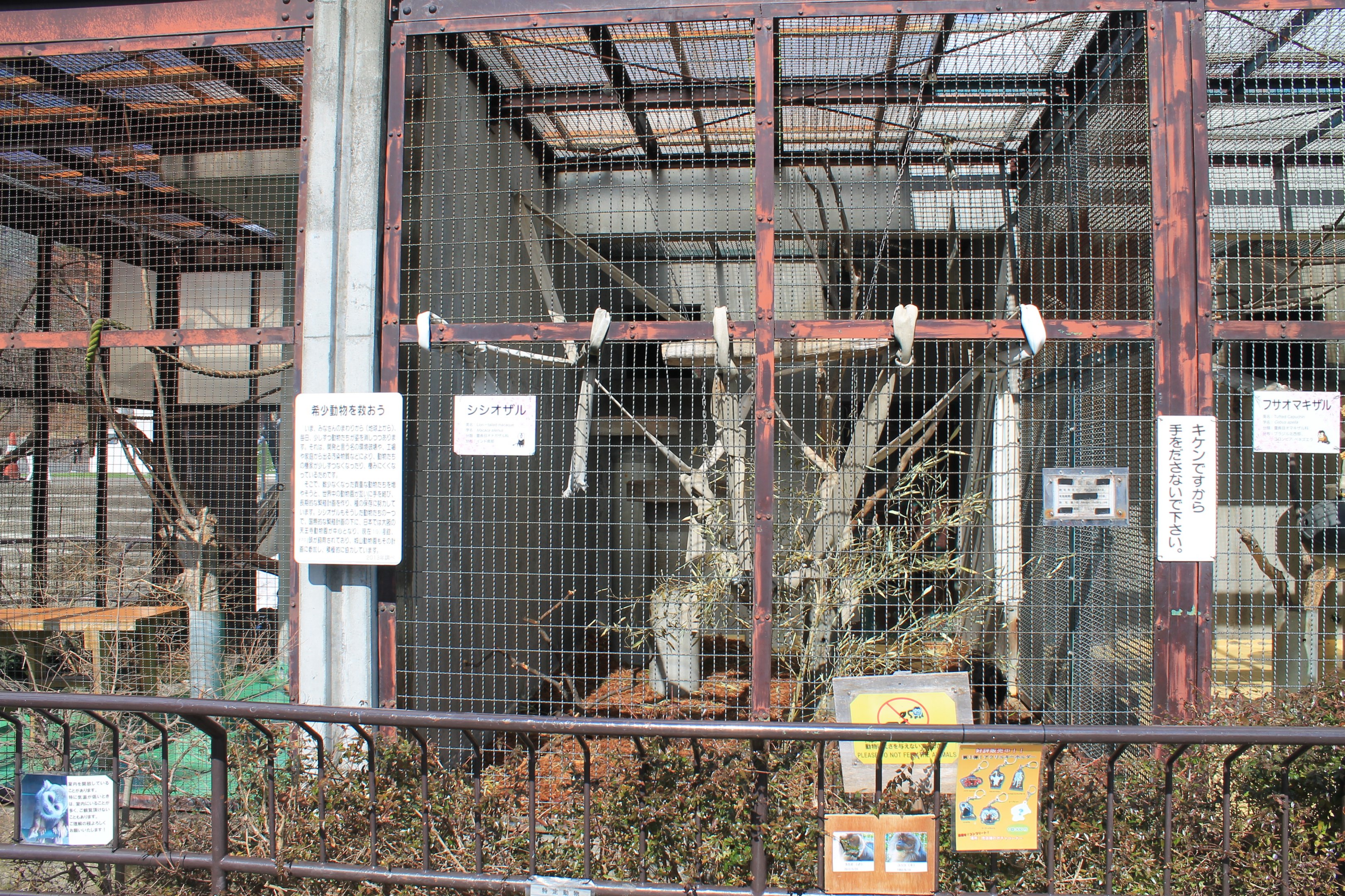 Lion-tailed Macaque cage, Joyama Zoo