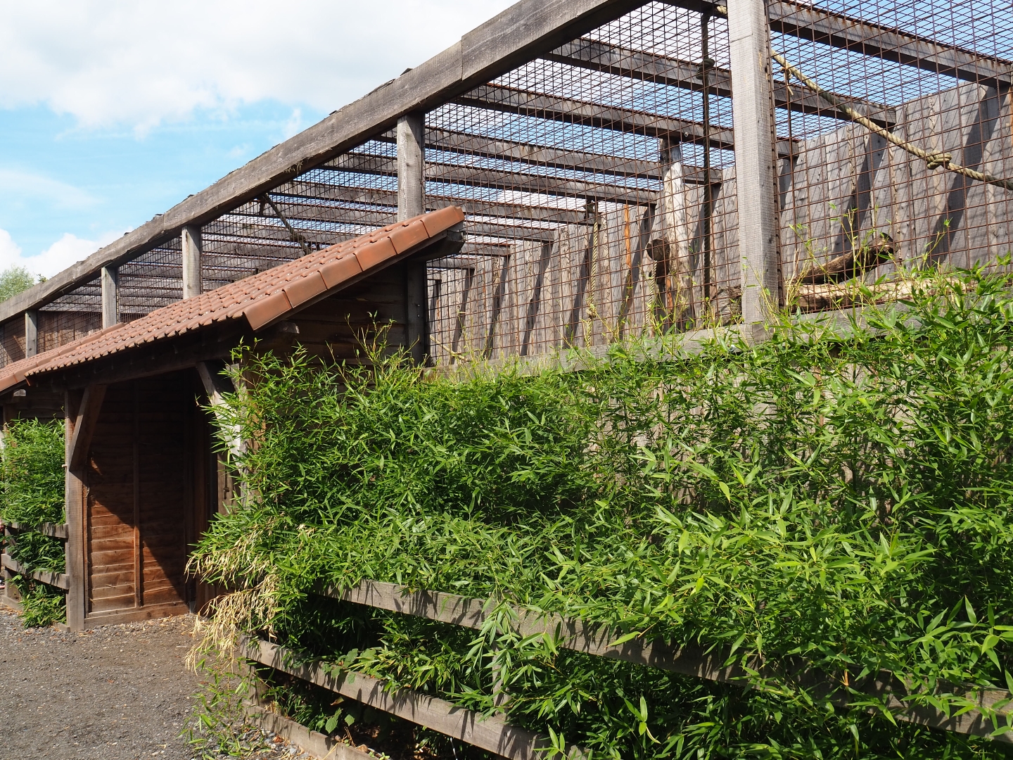 Lion-tailed macaque cage