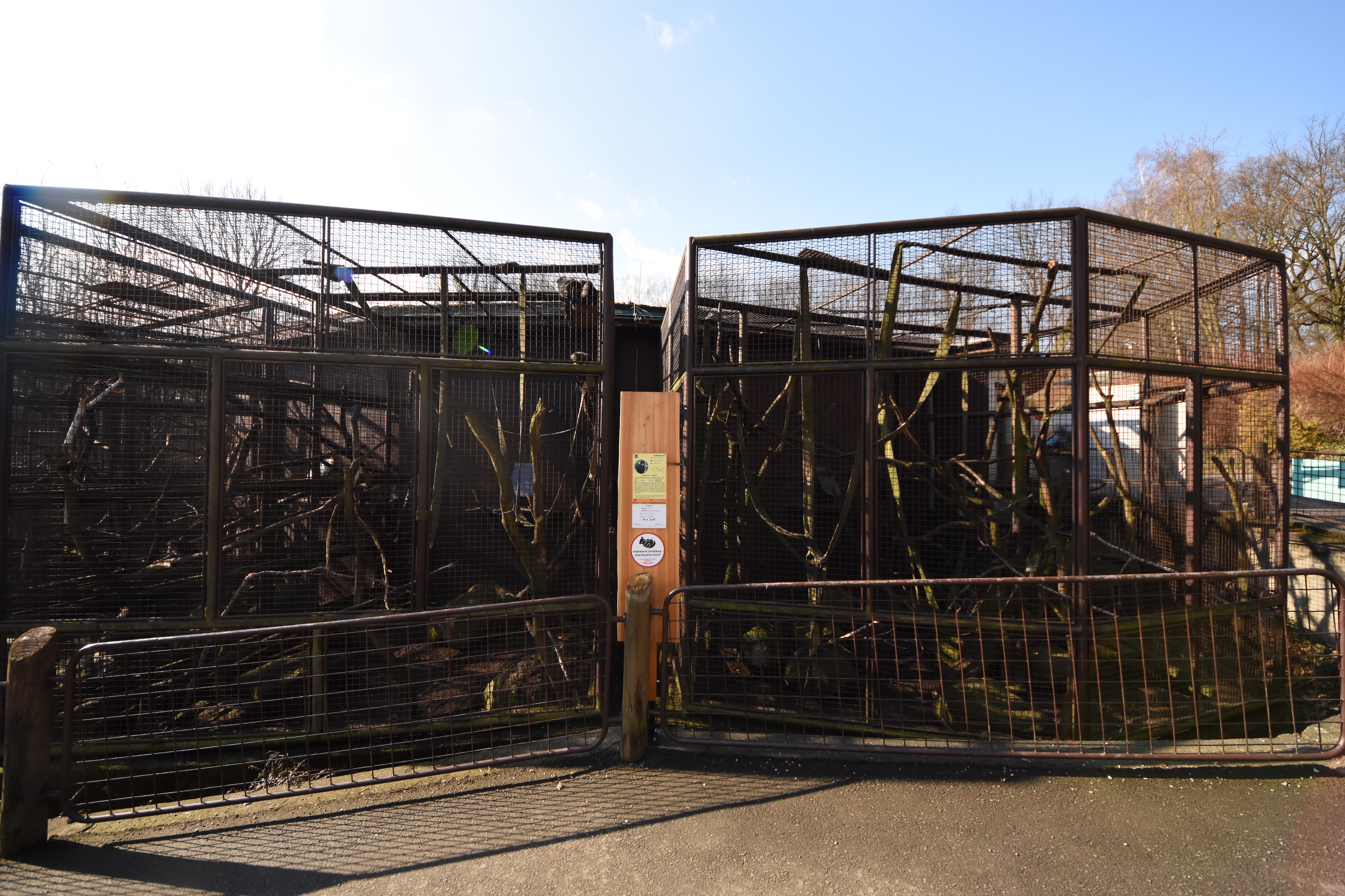 Lion-tailed macaque cages