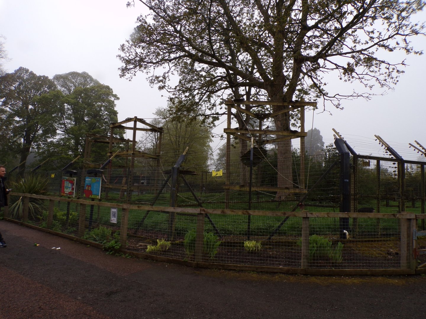 Lion-tailed macaque enclosure 7.5.23