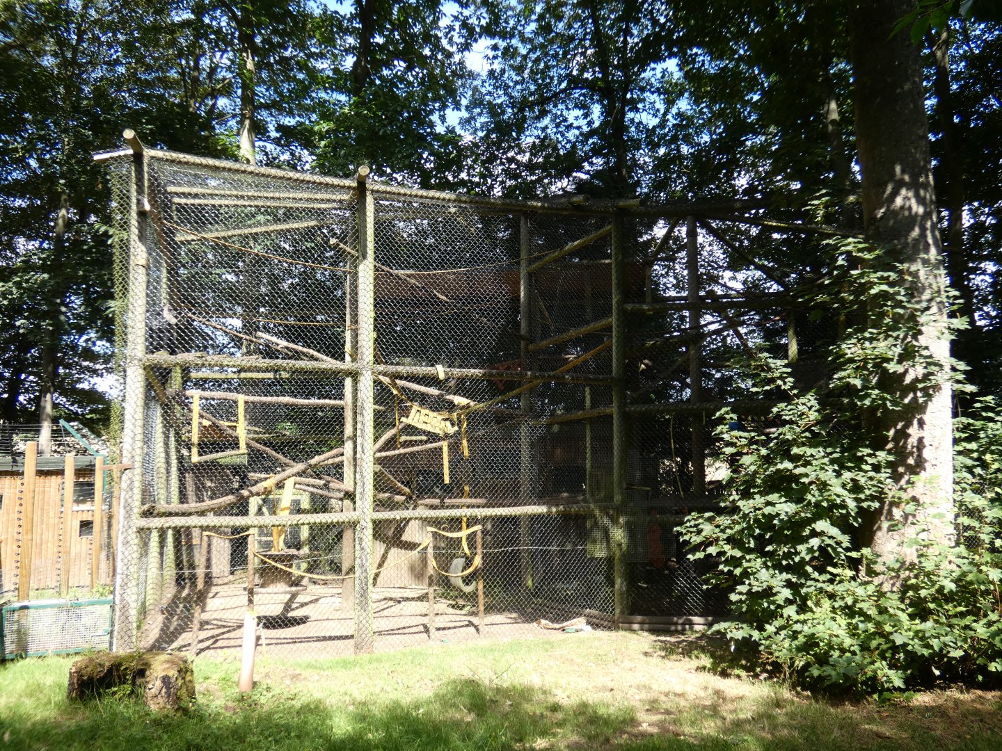 Lion-tailed Macaque enclosure in Woodland Walk