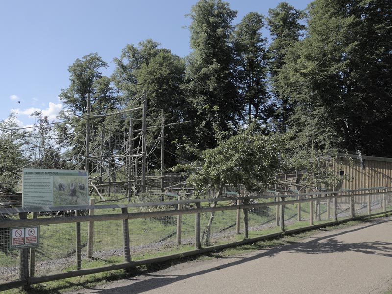 Lion-tailed macaque enclosure