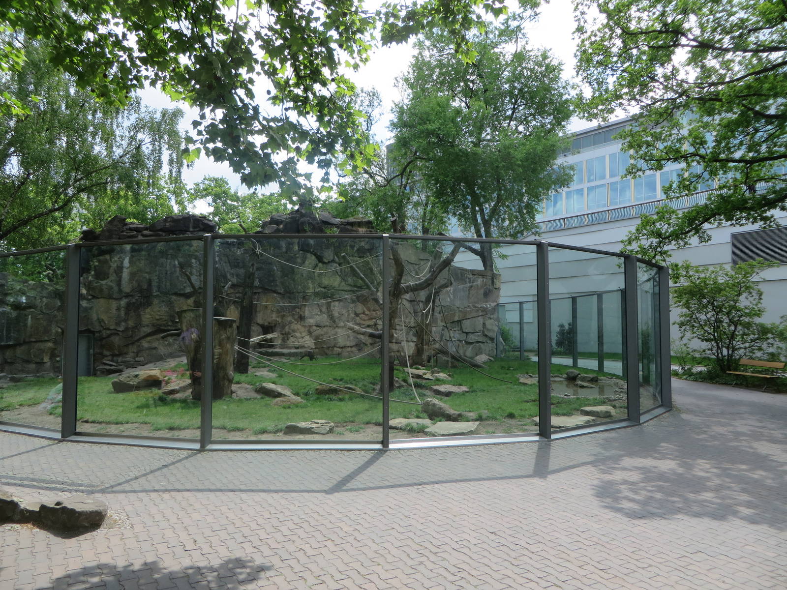 Lion tailed macaque enclosure