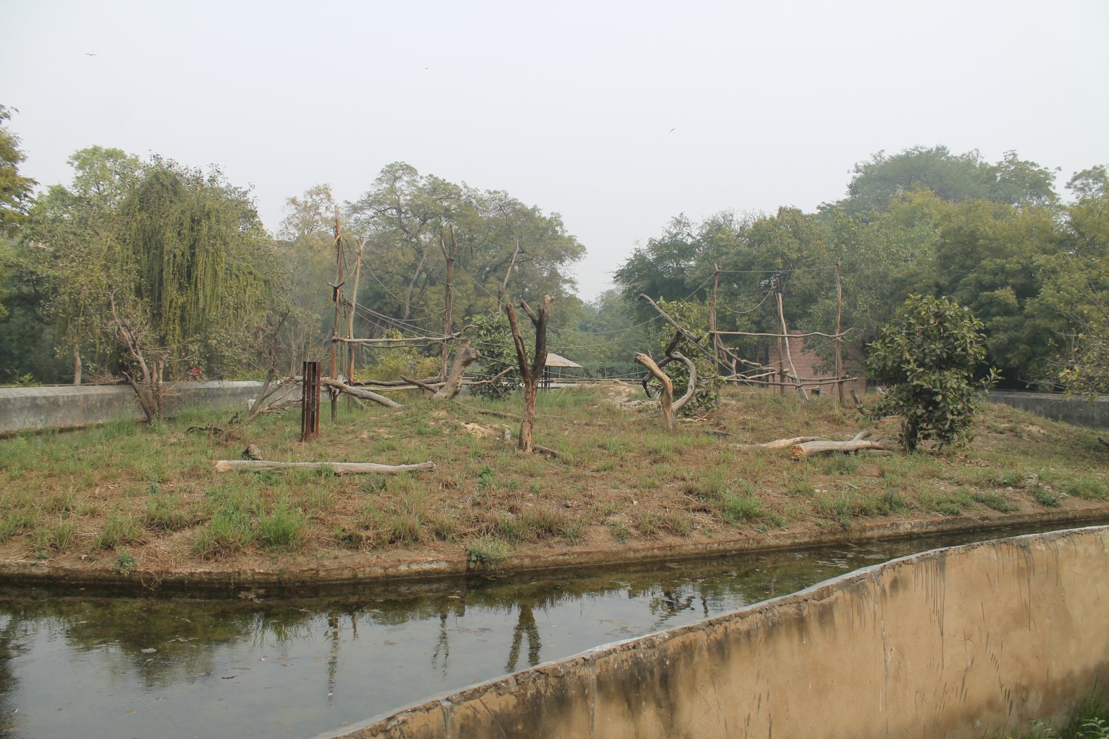 Lion-tailed Macaque enclosure