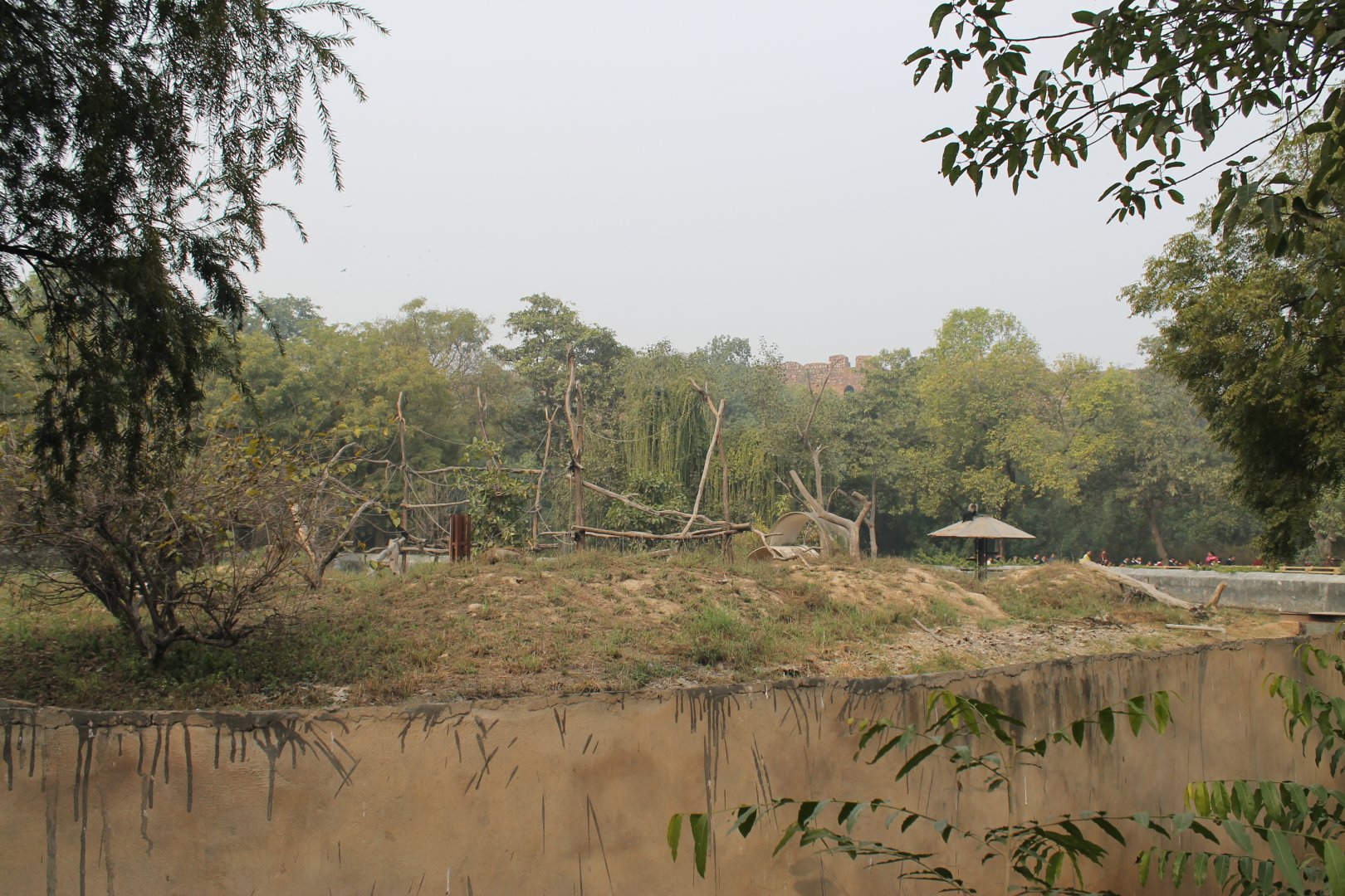 Lion-tailed Macaque enclosure