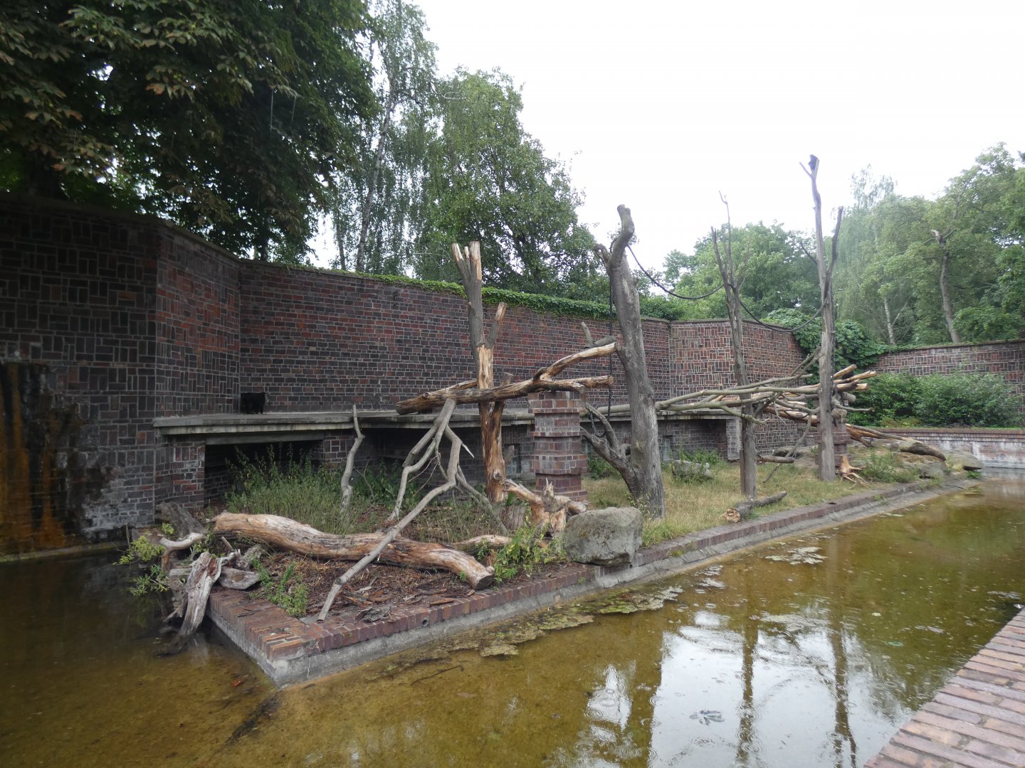Lion-tailed Macaque enclosure