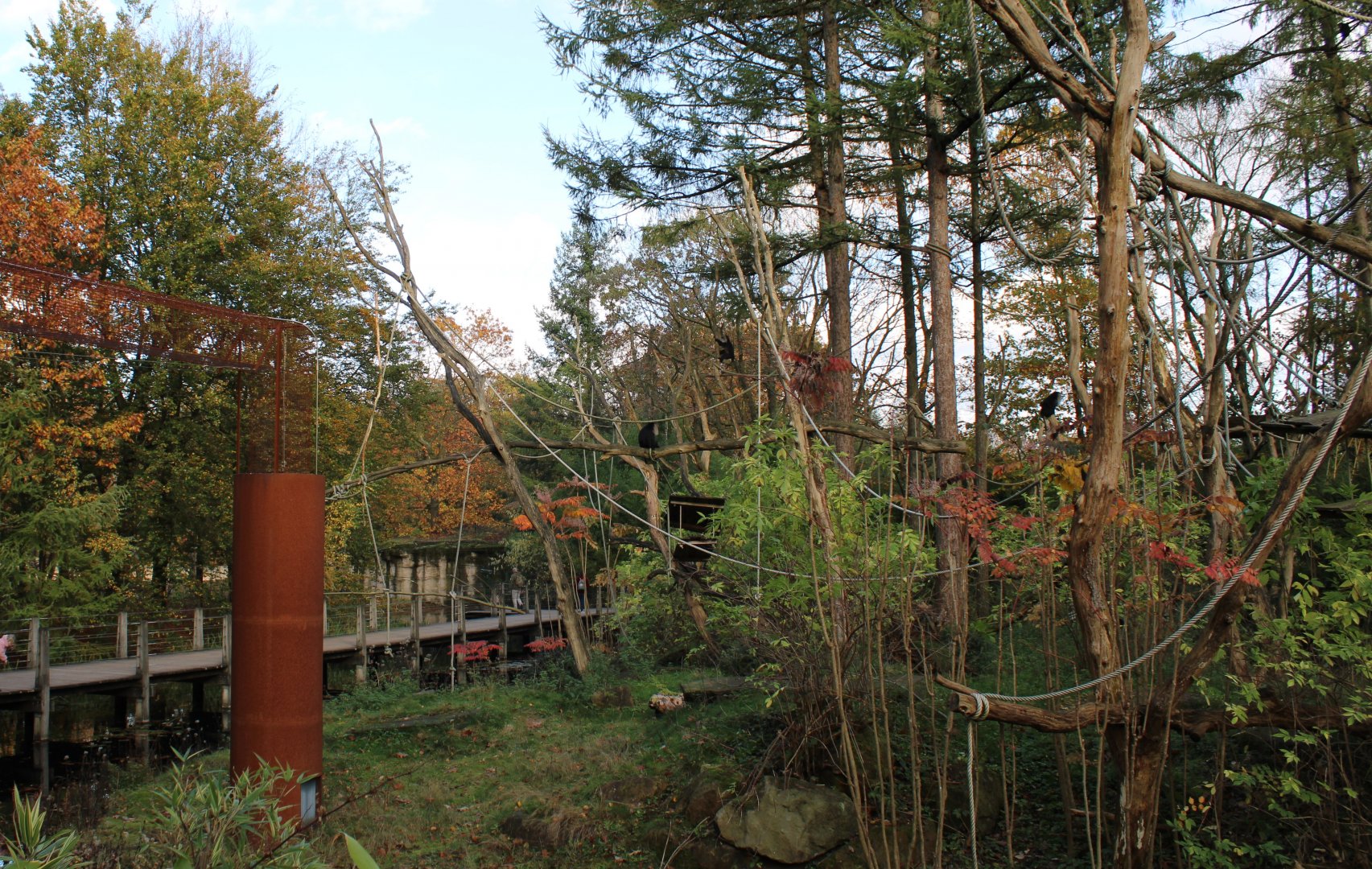 Lion-tailed macaque enclosure