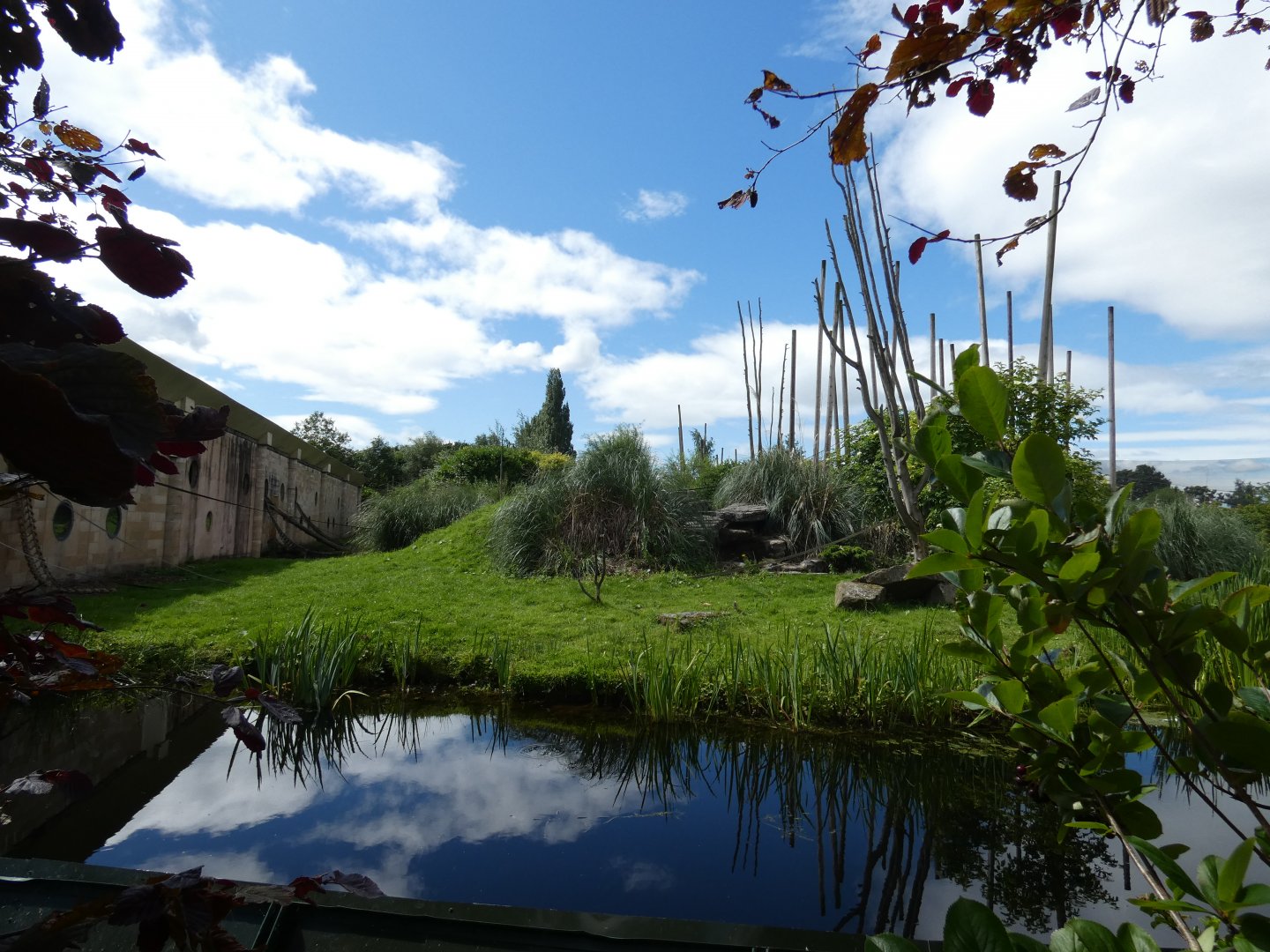 Lion-tailed Macaque enclosure