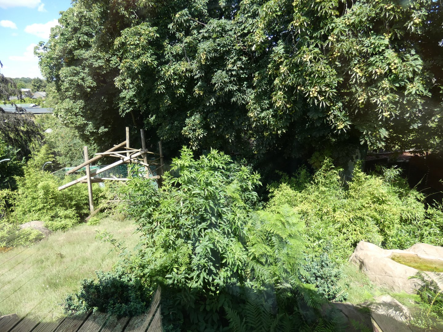 Lion-tailed Macaque enclosure