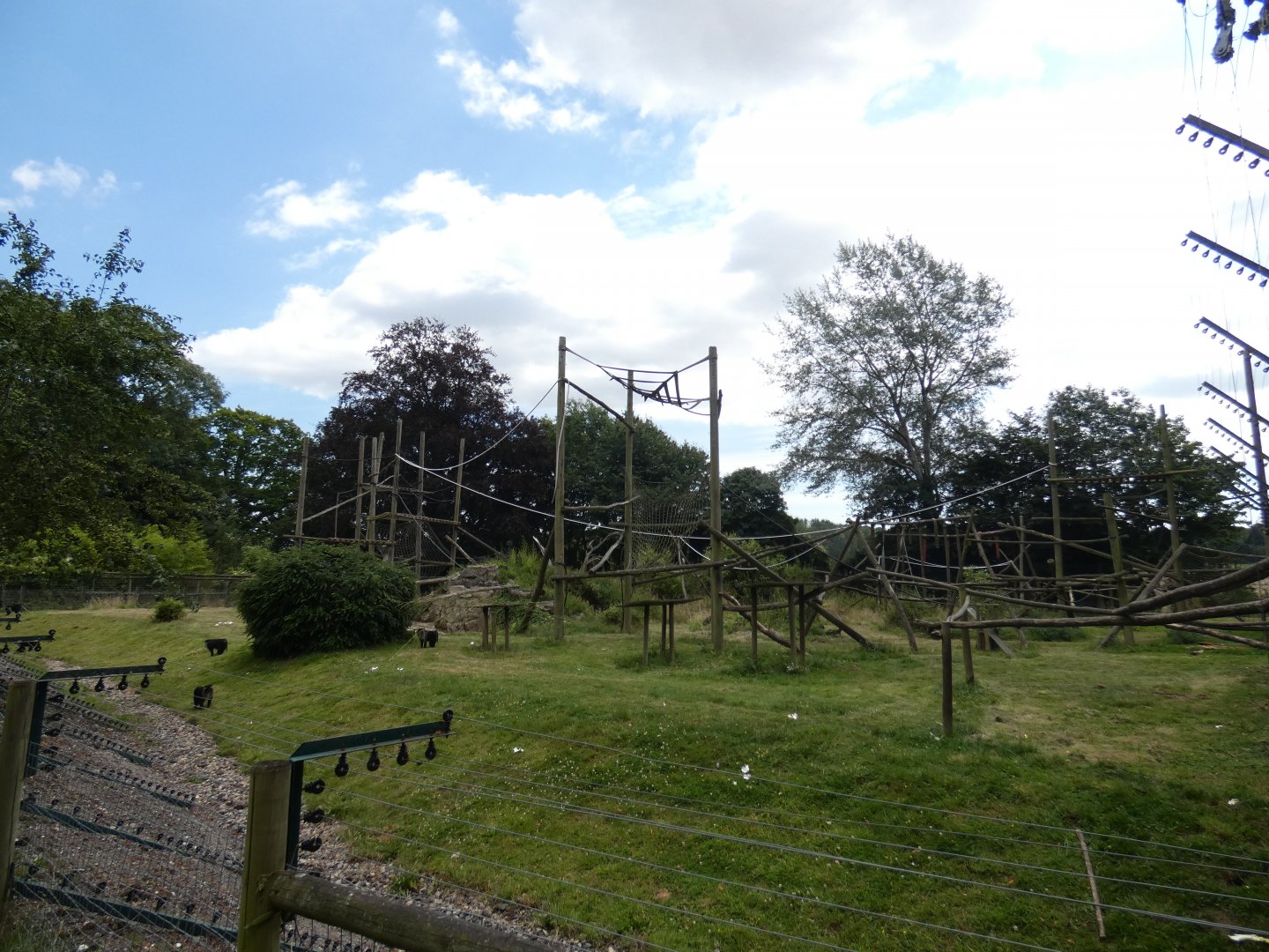 Lion-tailed Macaque enclosure