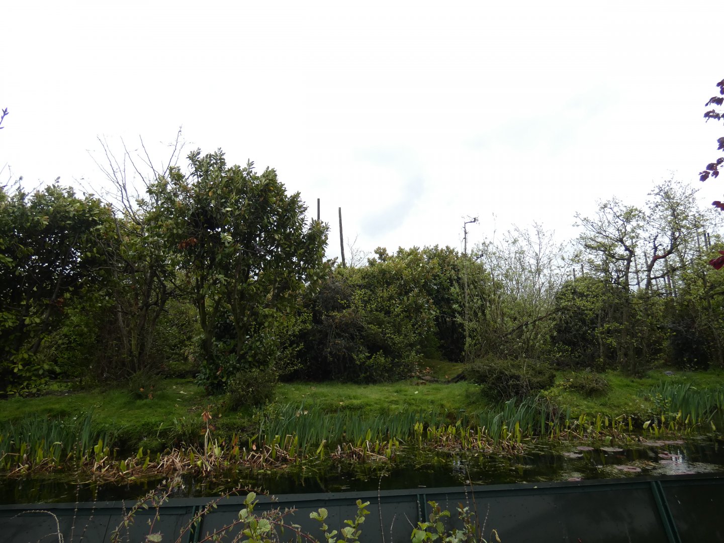 Lion-tailed macaque enclosure