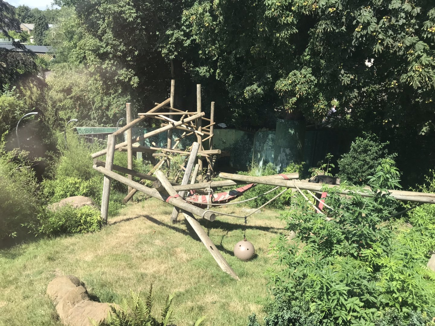 Lion-tailed macaque exhibit 050819