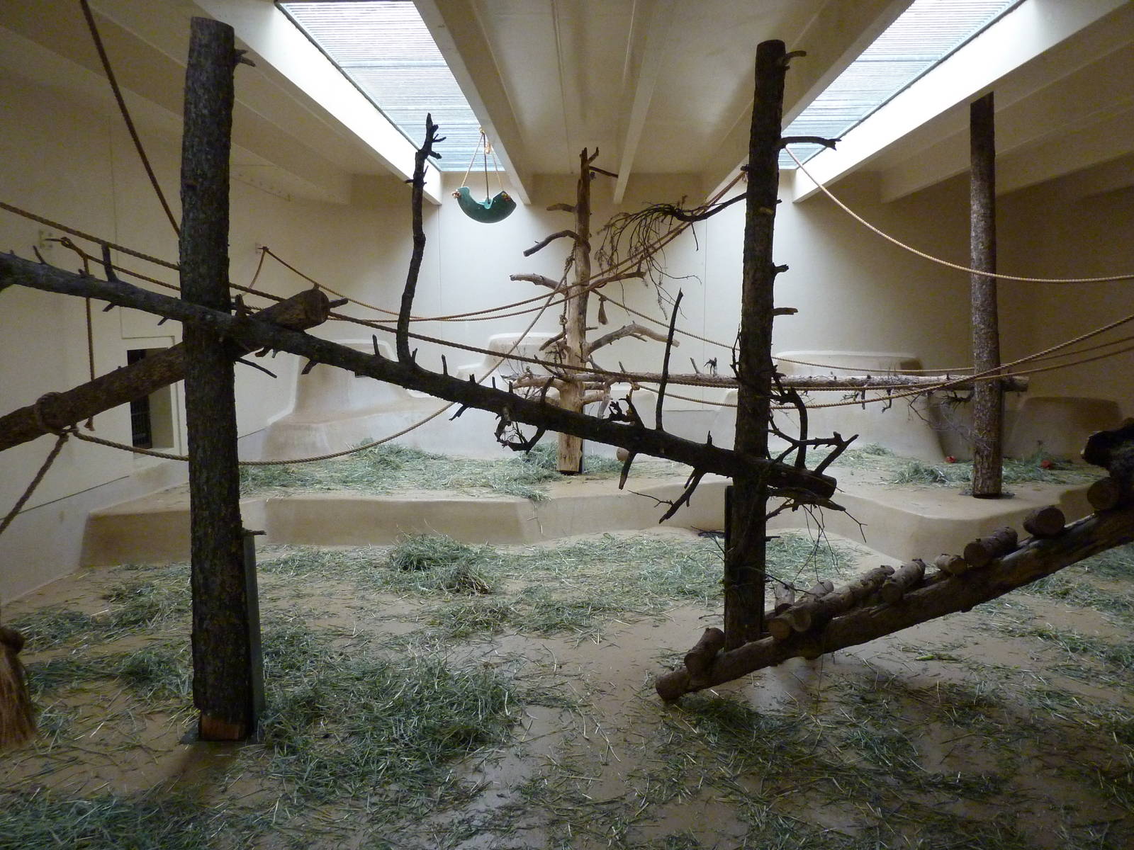 Lion-Tailed Macaque Exhibit - Indoor Area