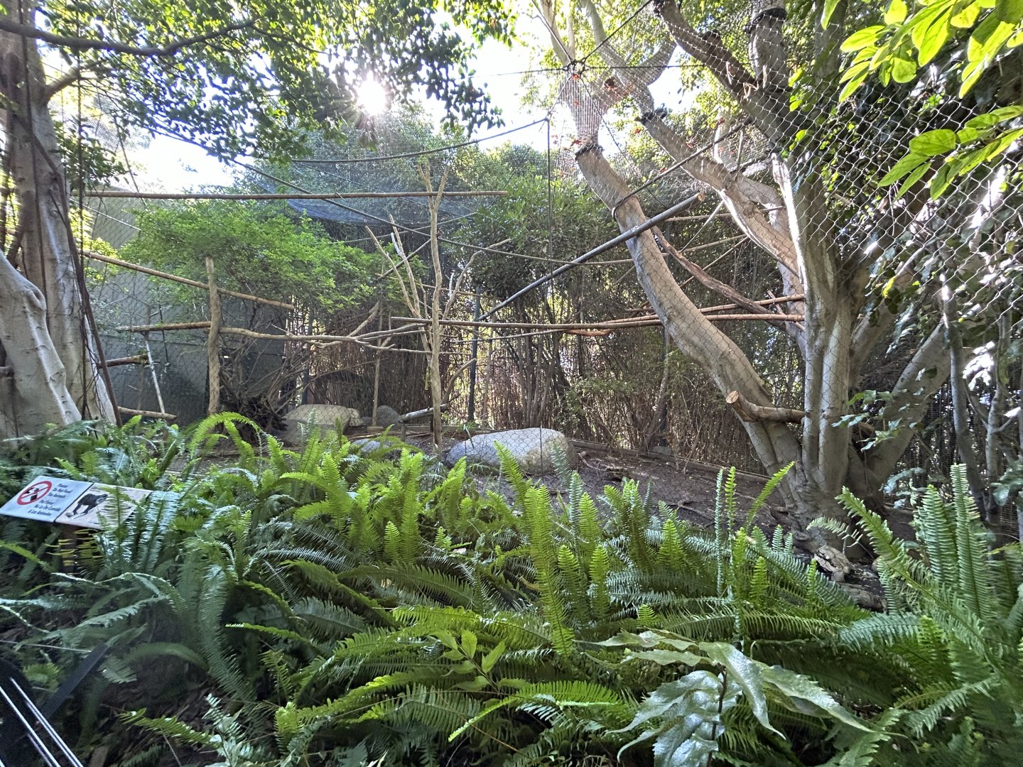 Lion-tailed Macaque Exhibit - Monkey Trails & Forest Tales