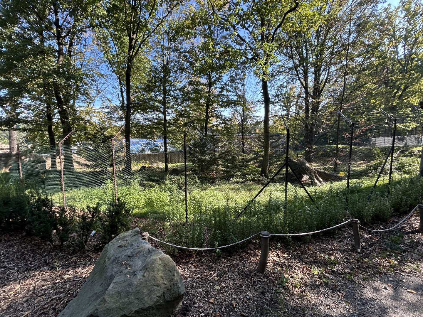 Lion-tailed Macaque Exhibit - Wanderu