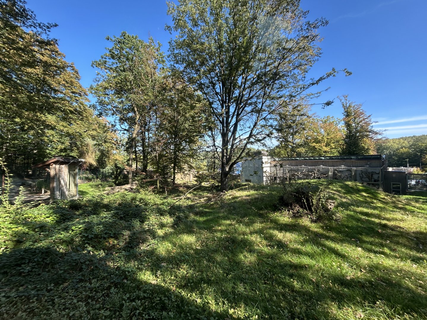 Lion-tailed Macaque Exhibit - Wanderu