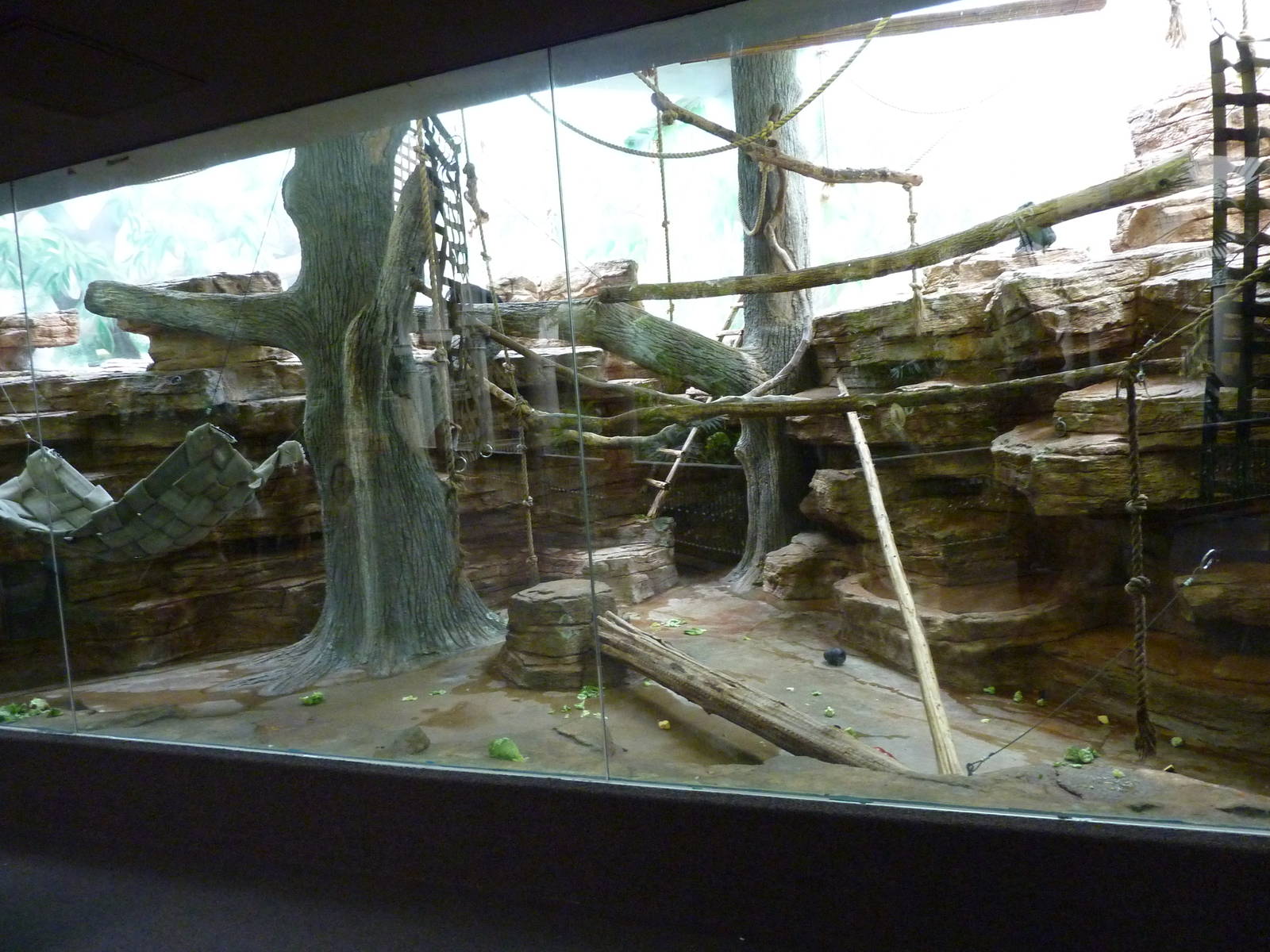 Lion-Tailed Macaque Exhibit