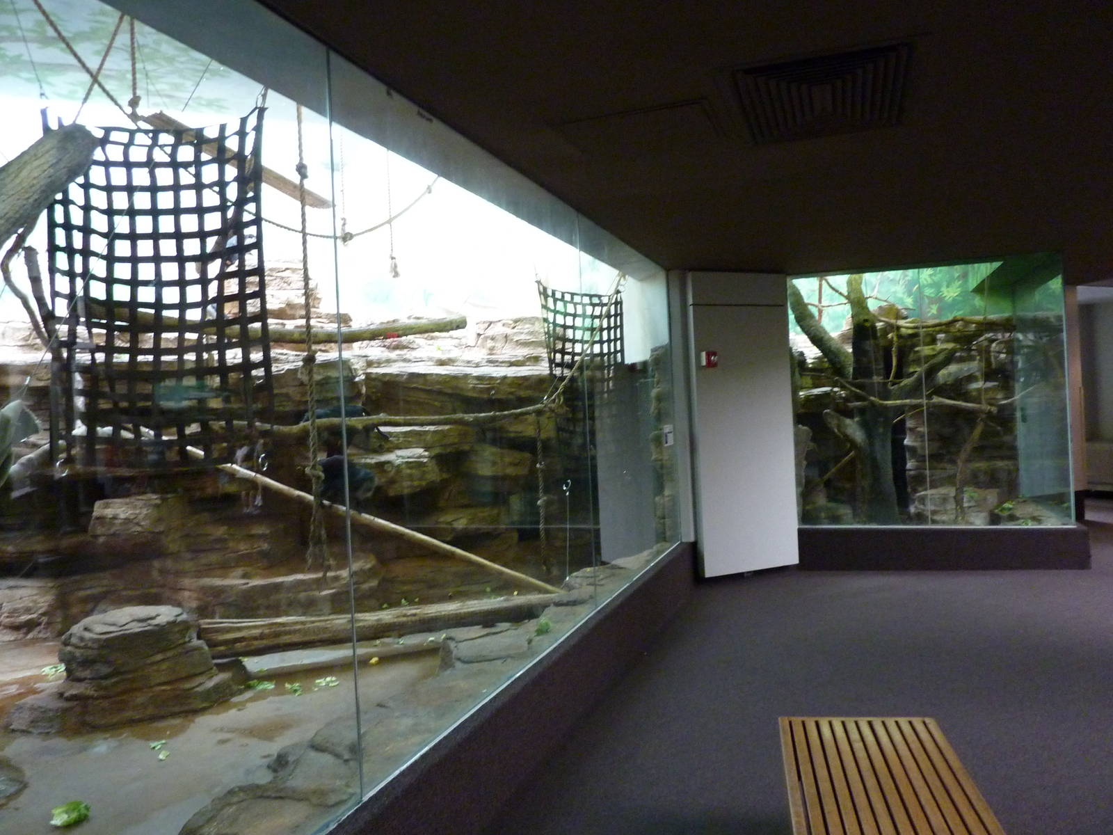 Lion-Tailed Macaque Exhibit