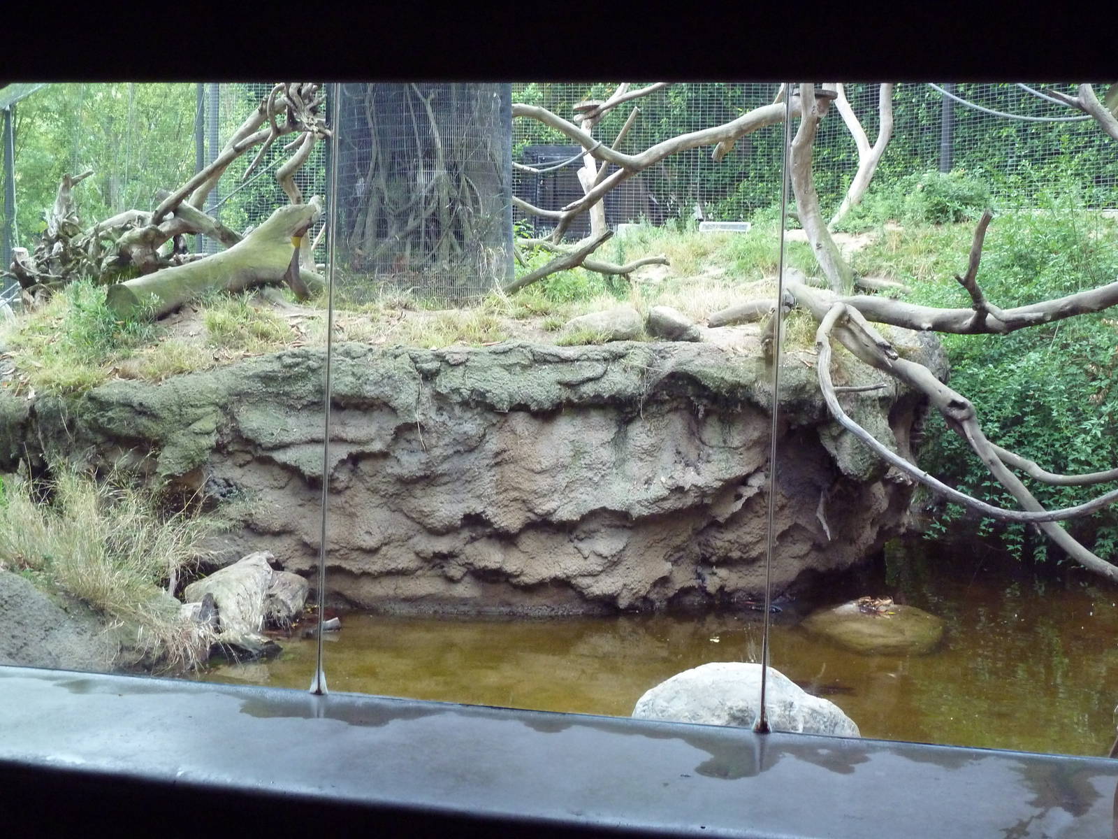 Lion-Tailed Macaque Exhibit