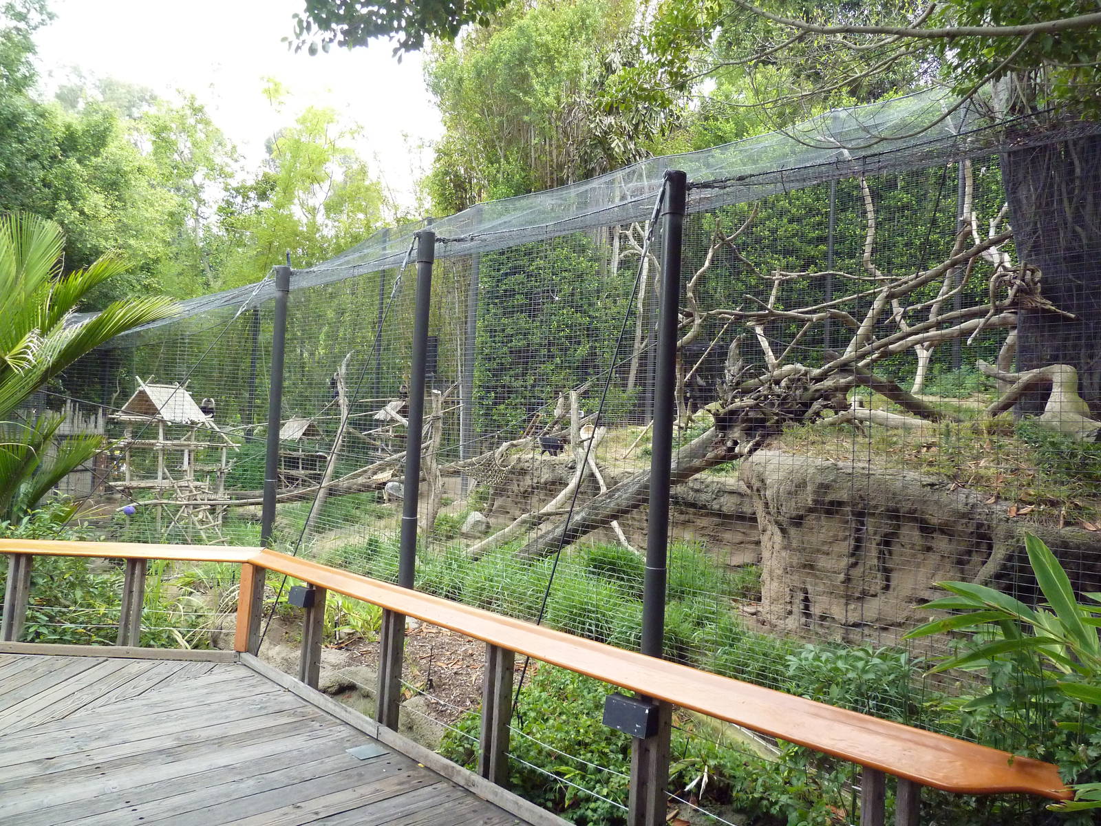 Lion-Tailed Macaque Exhibit