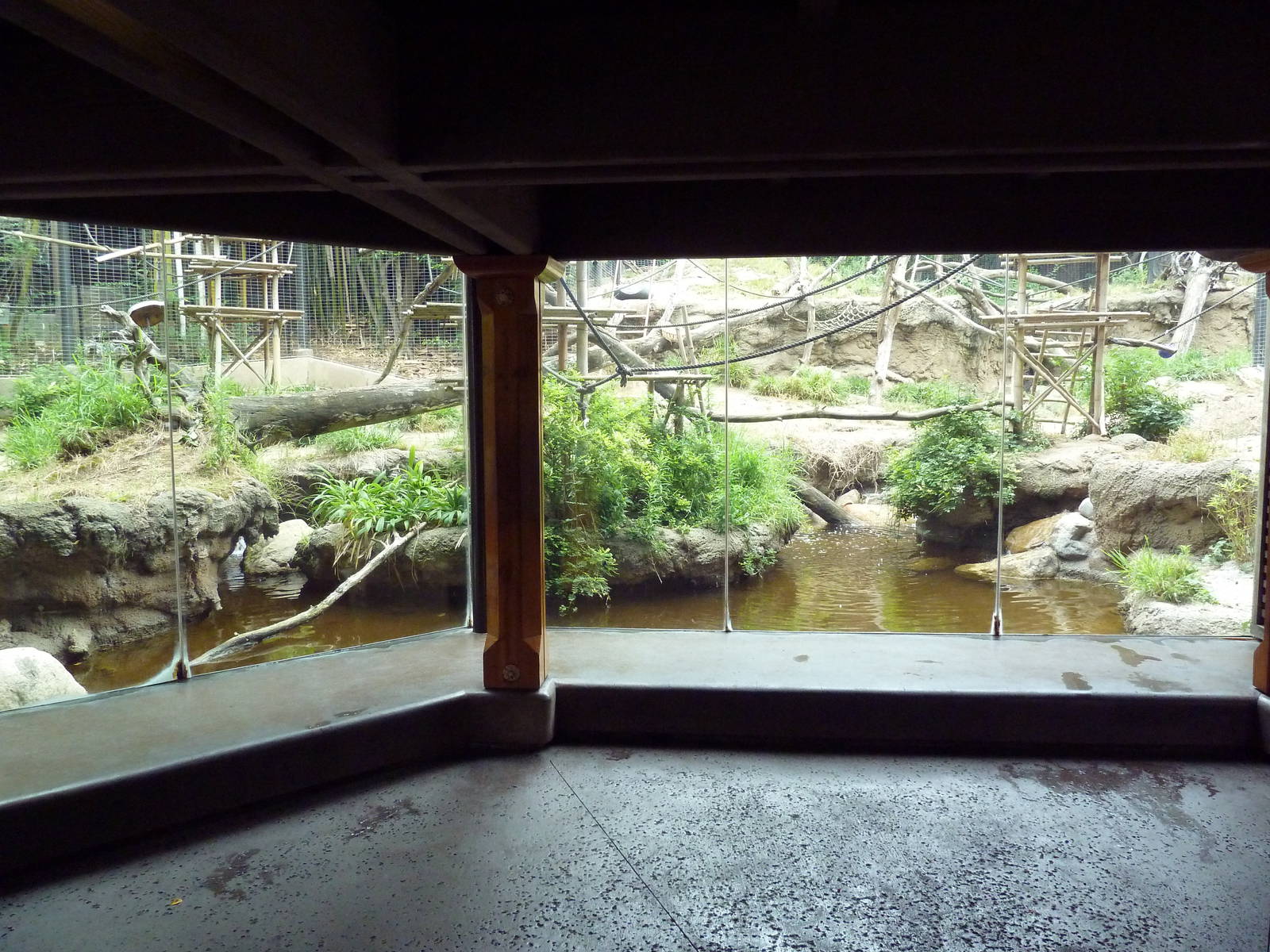 Lion-Tailed Macaque Exhibit