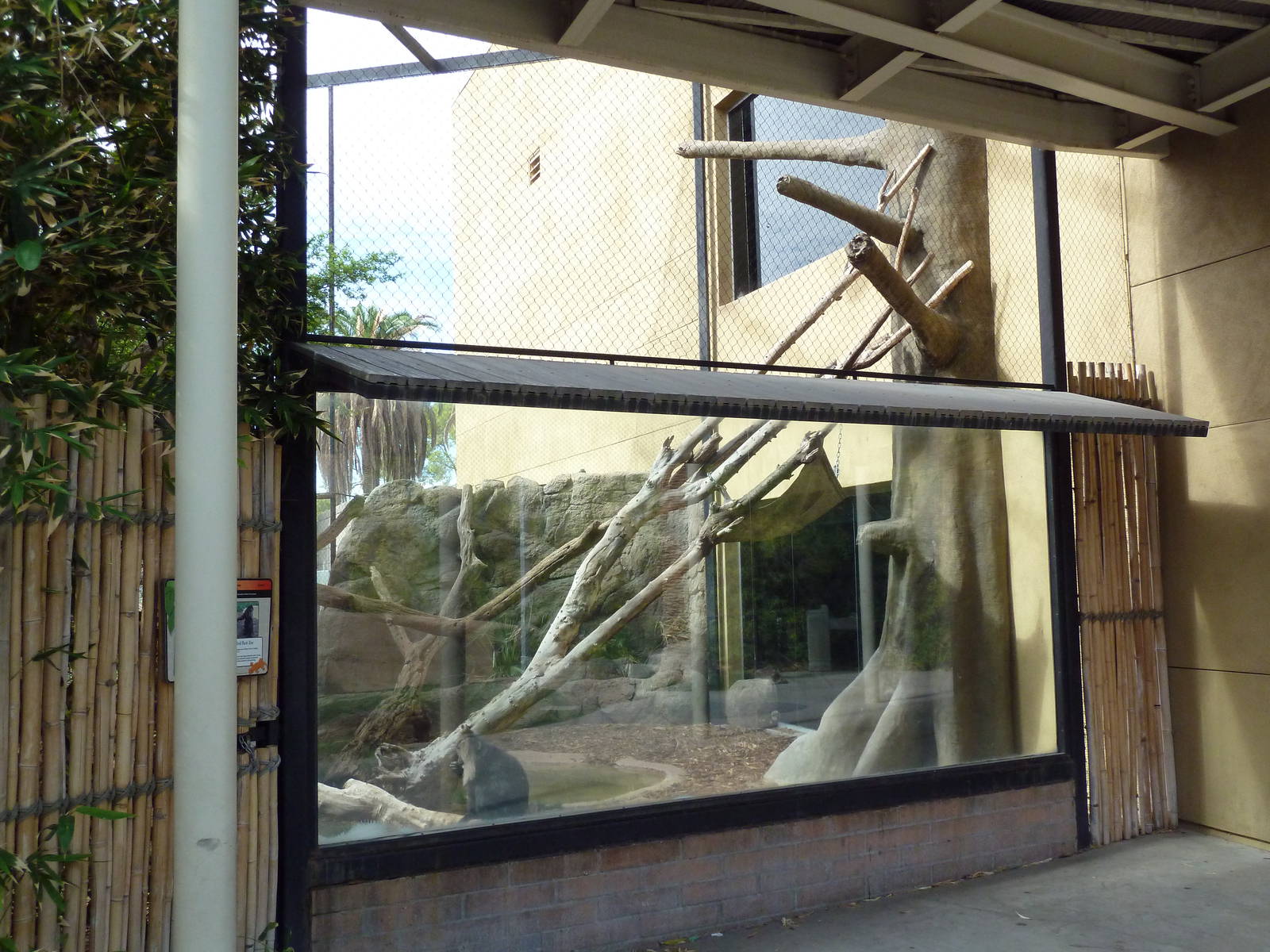 Lion-Tailed Macaque Exhibit