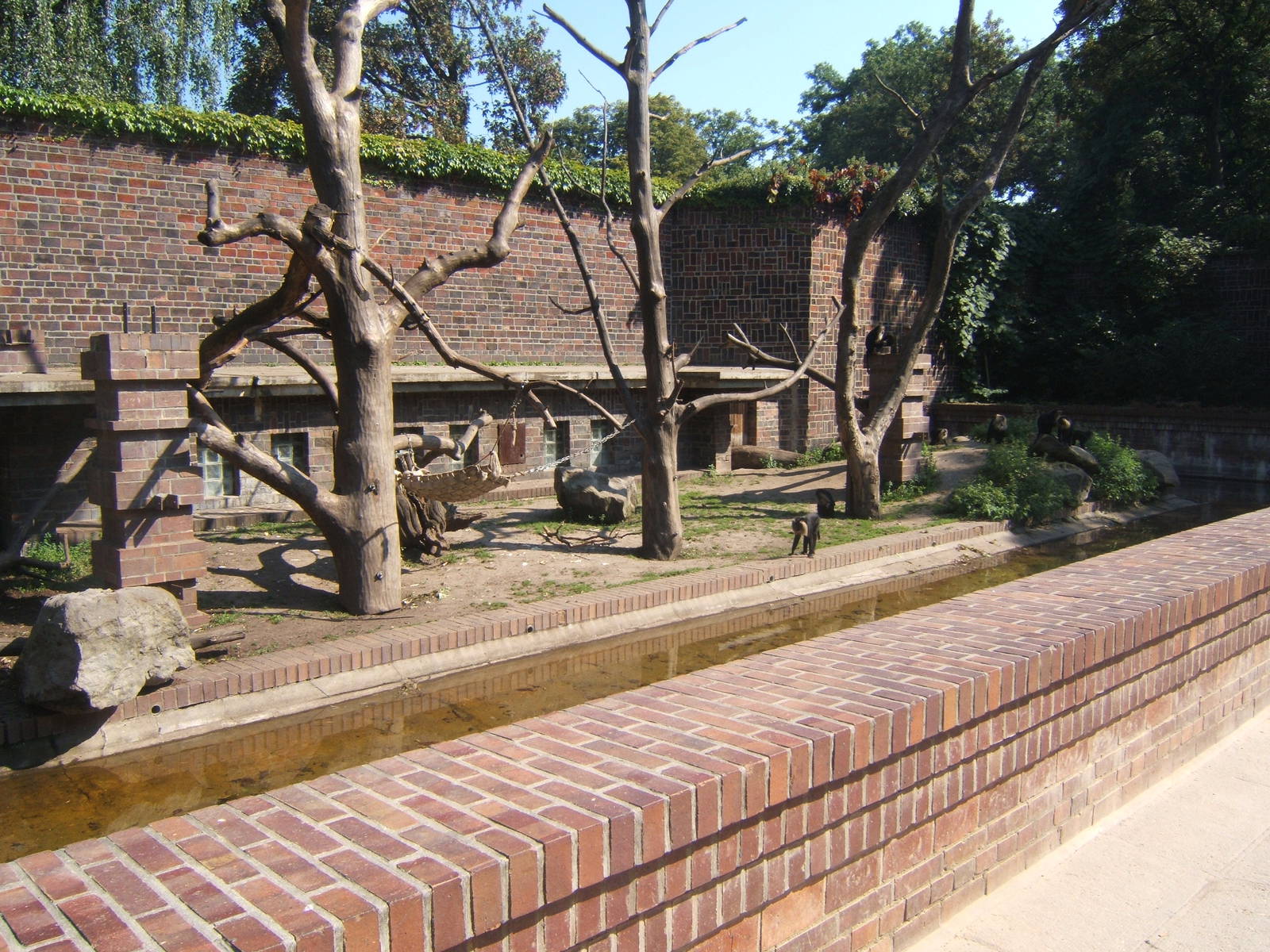 Lion-tailed macaque exhibit