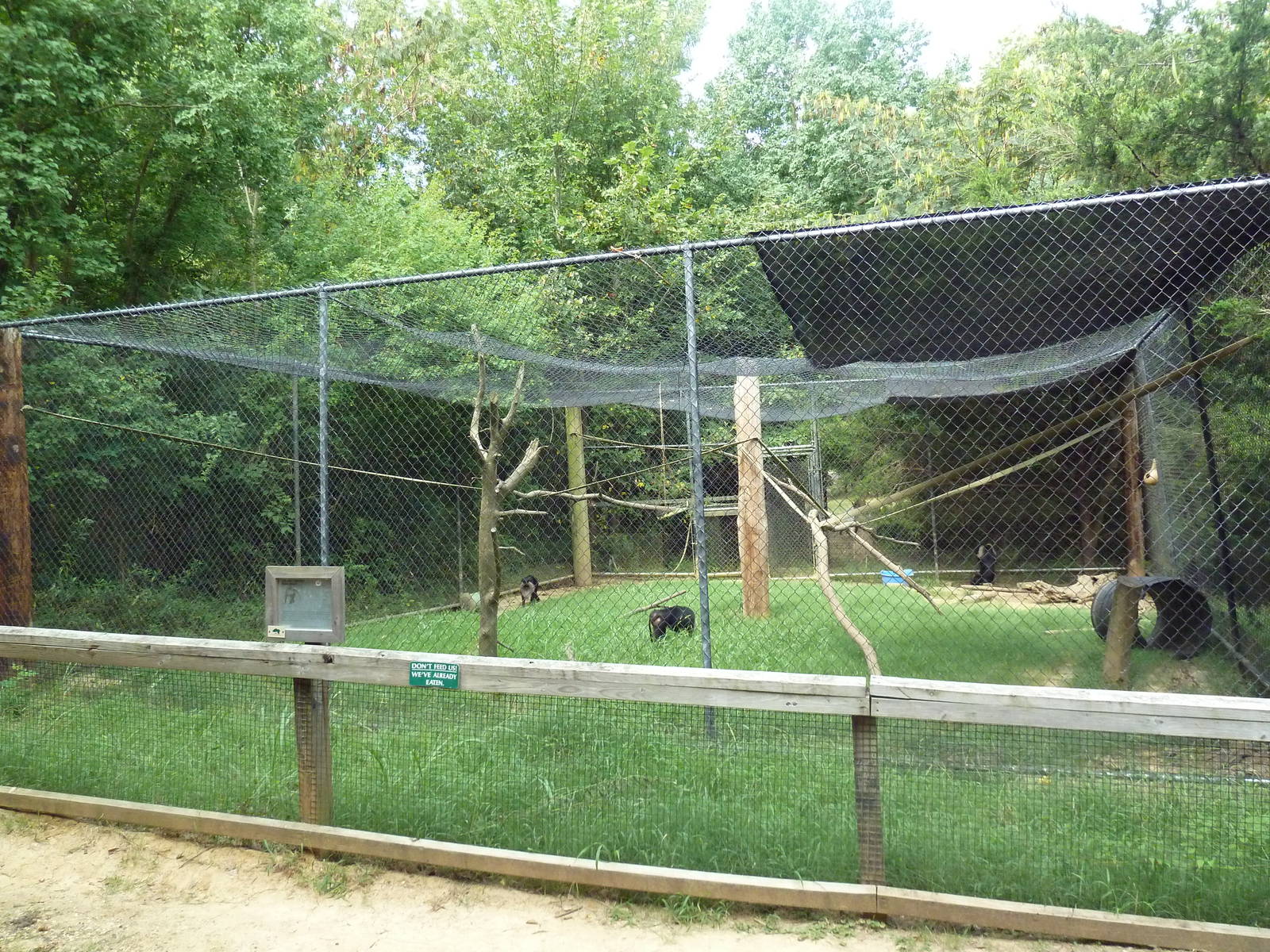 Lion-Tailed Macaque Exhibit
