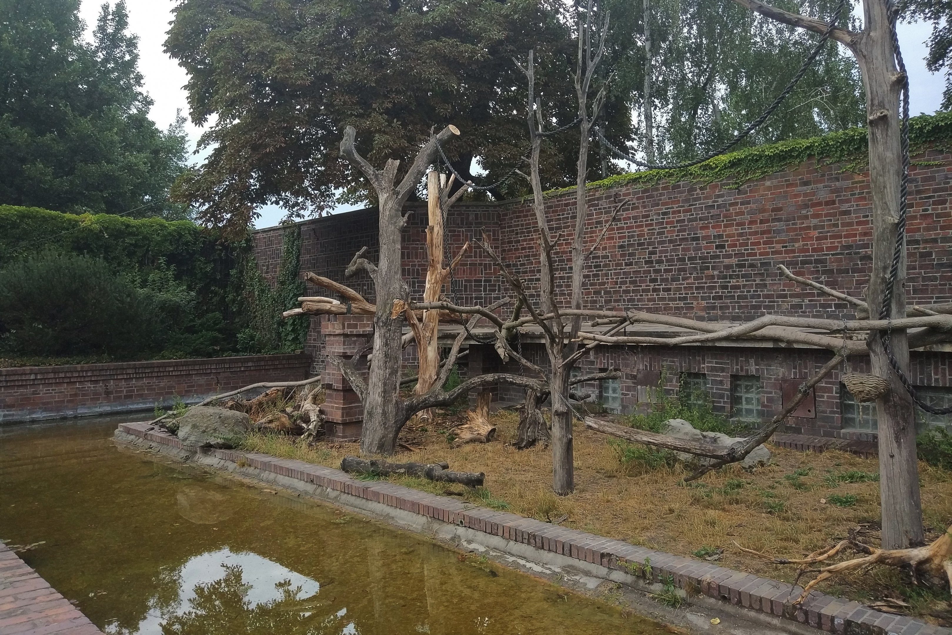 Lion-tailed Macaque Exhibit