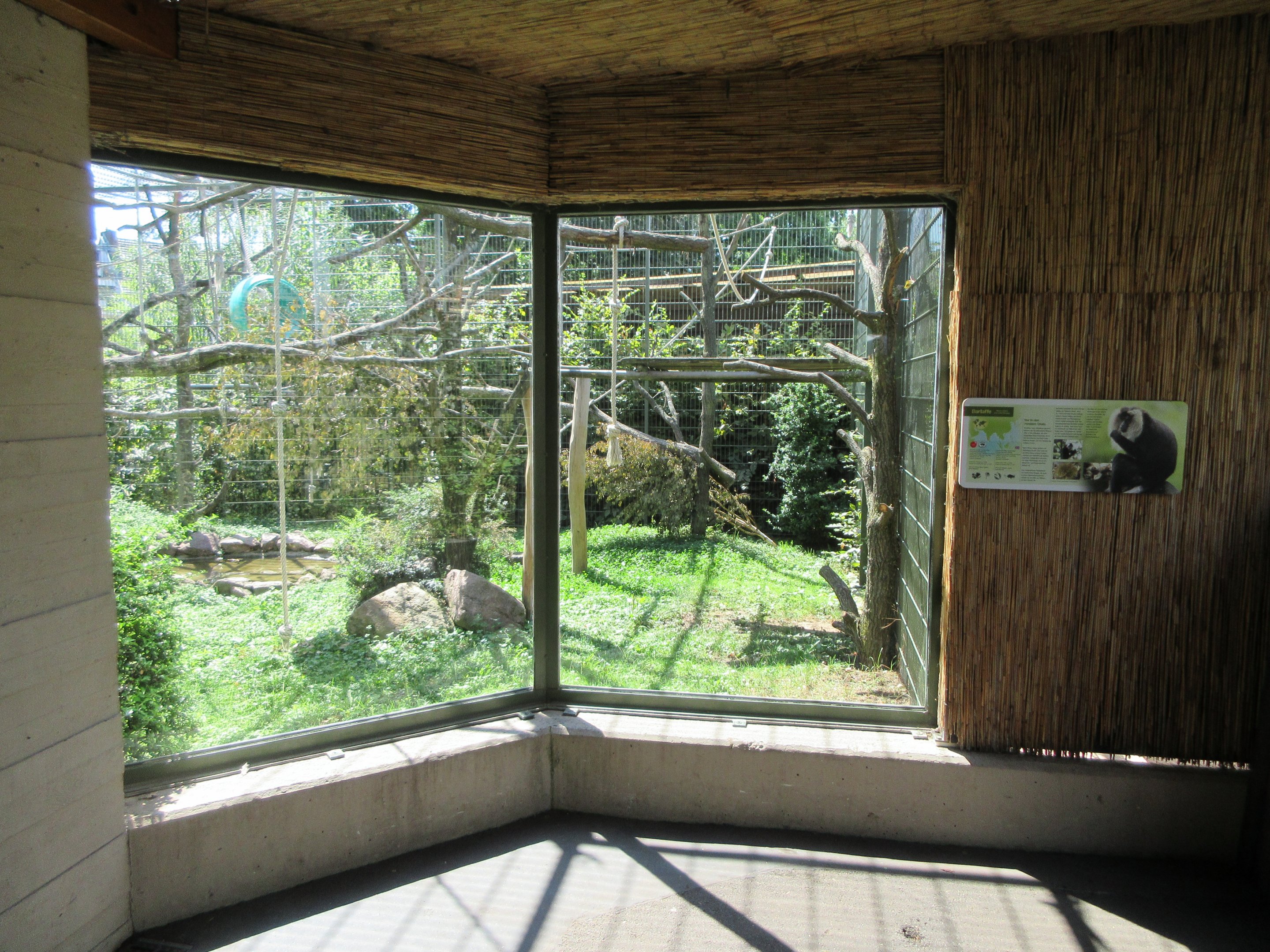 Lion-tailed Macaque Exhibit