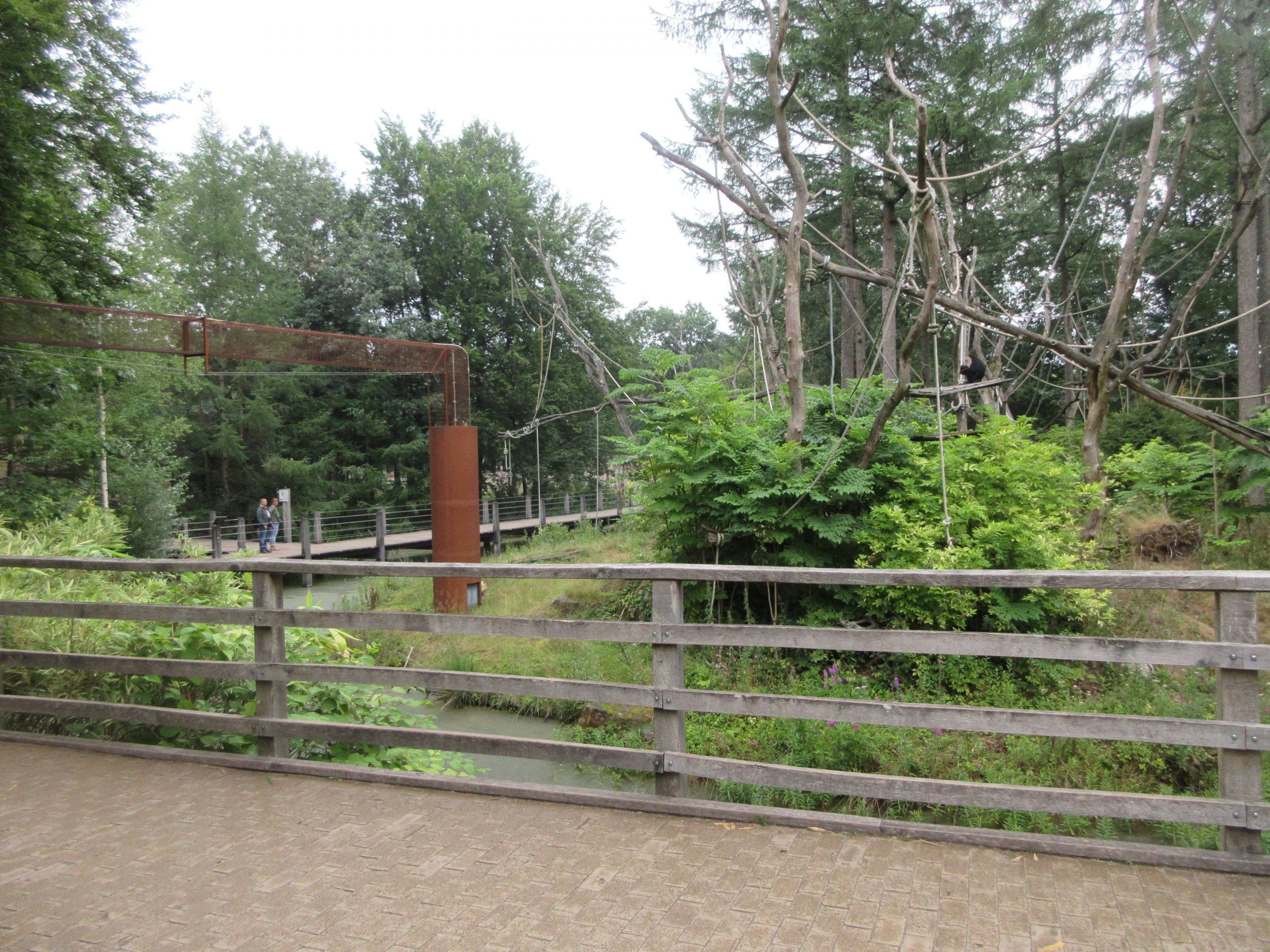 Lion-tailed Macaque Exhibit