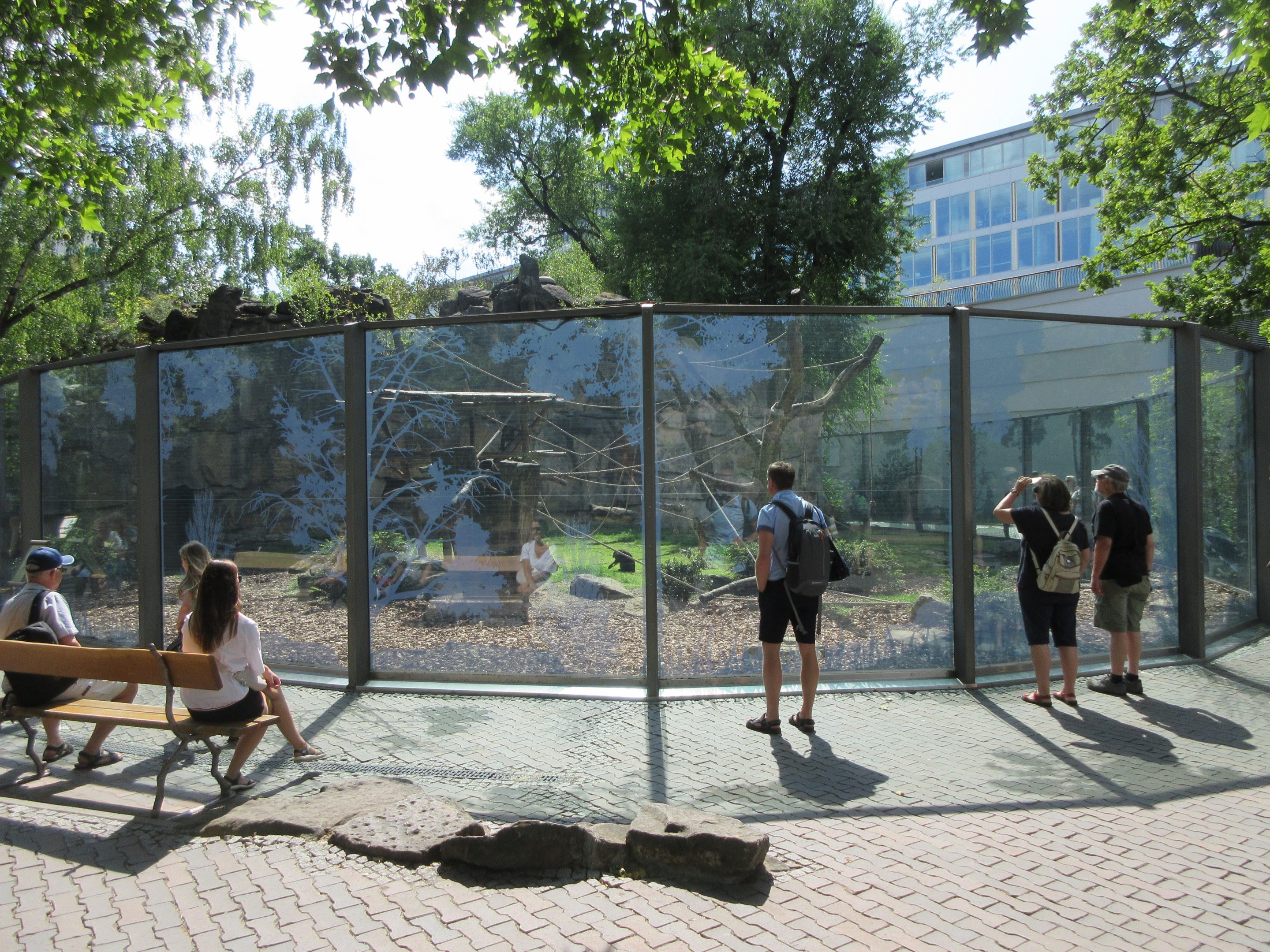Lion-tailed Macaque Exhibit