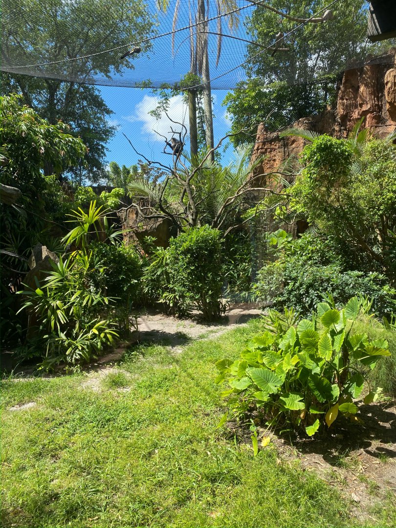 Lion-tailed Macaque Exhibit