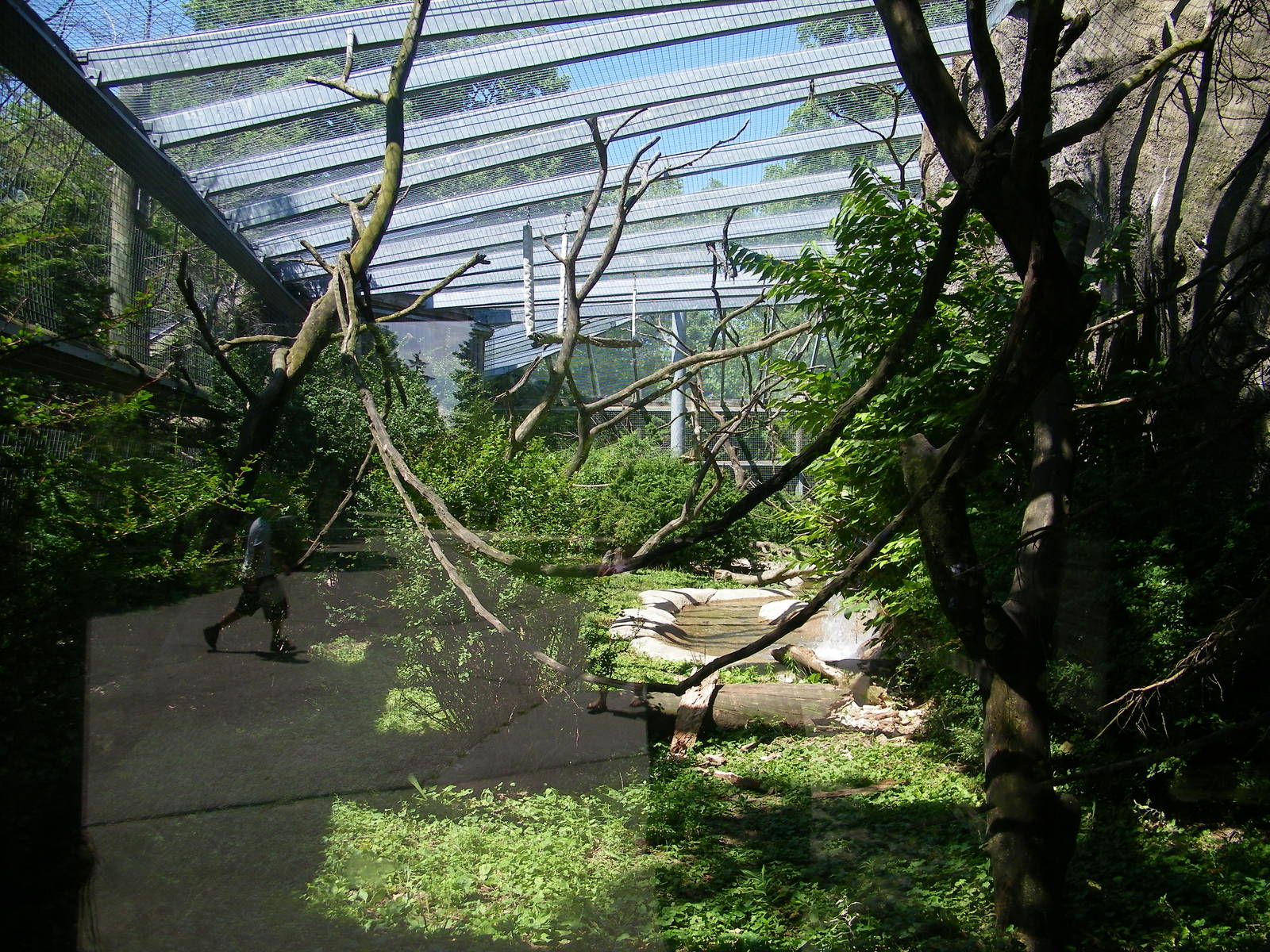 Lion Tailed Macaque Exhibit