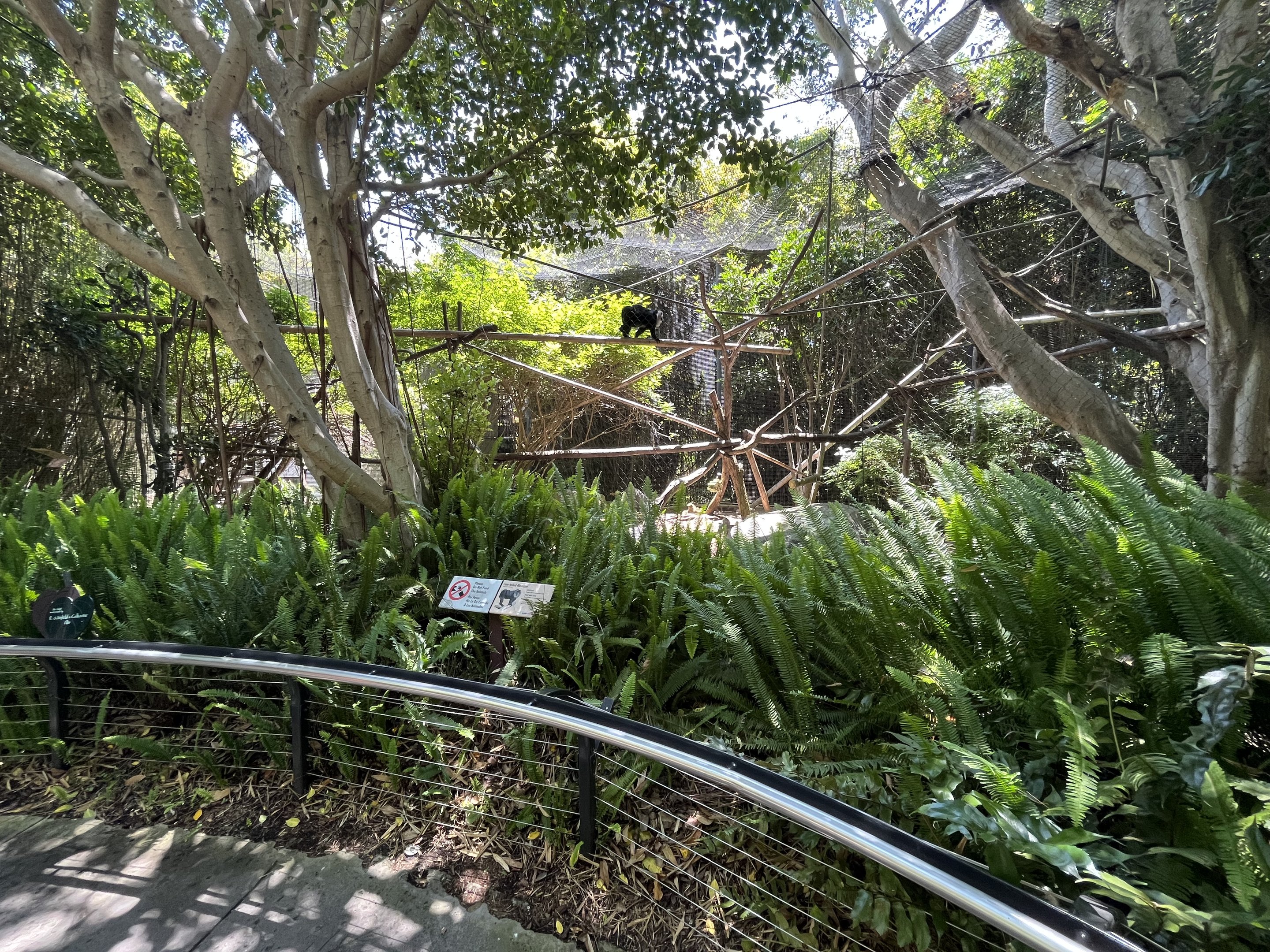 Lion-tailed Macaque Exhibit