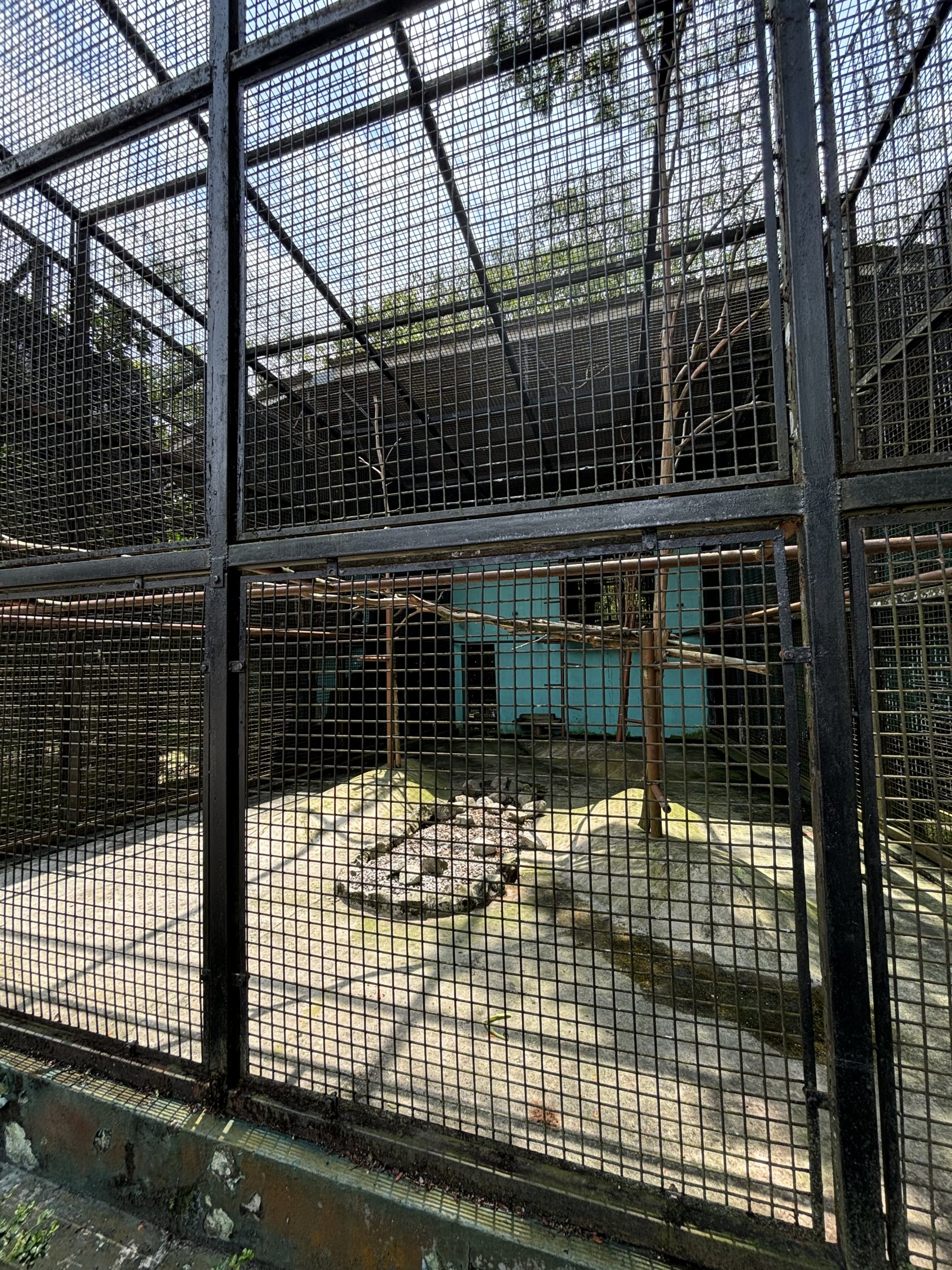 Lion-tailed Macaque Exhibit