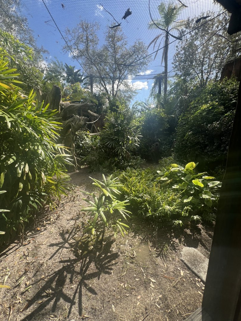 Lion-Tailed Macaque Exhibit