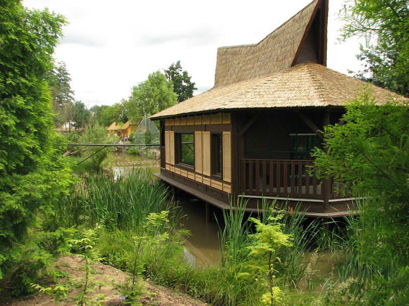 Lion-tailed macaque house