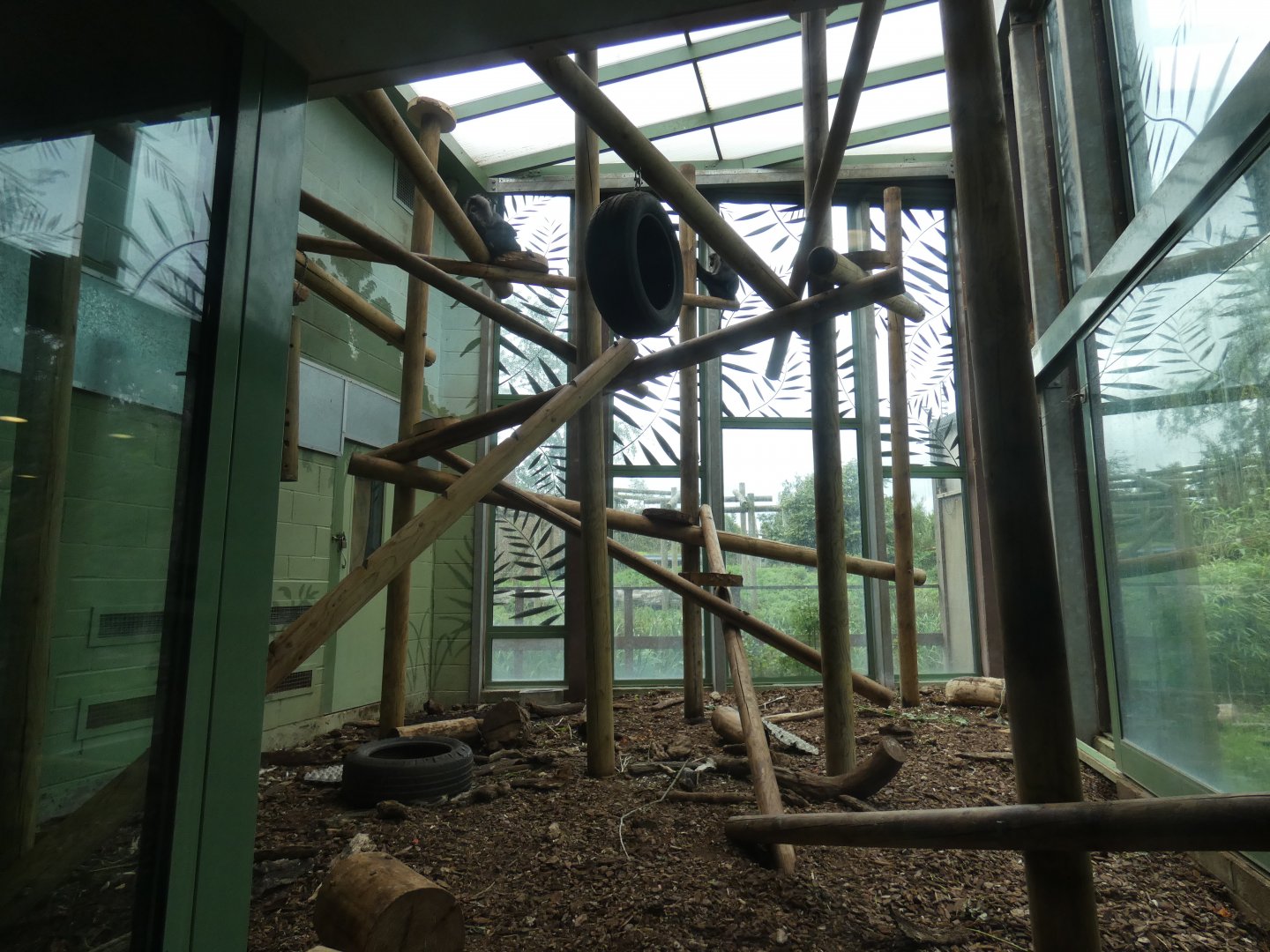 Lion-tailed Macaque indoor enclosure