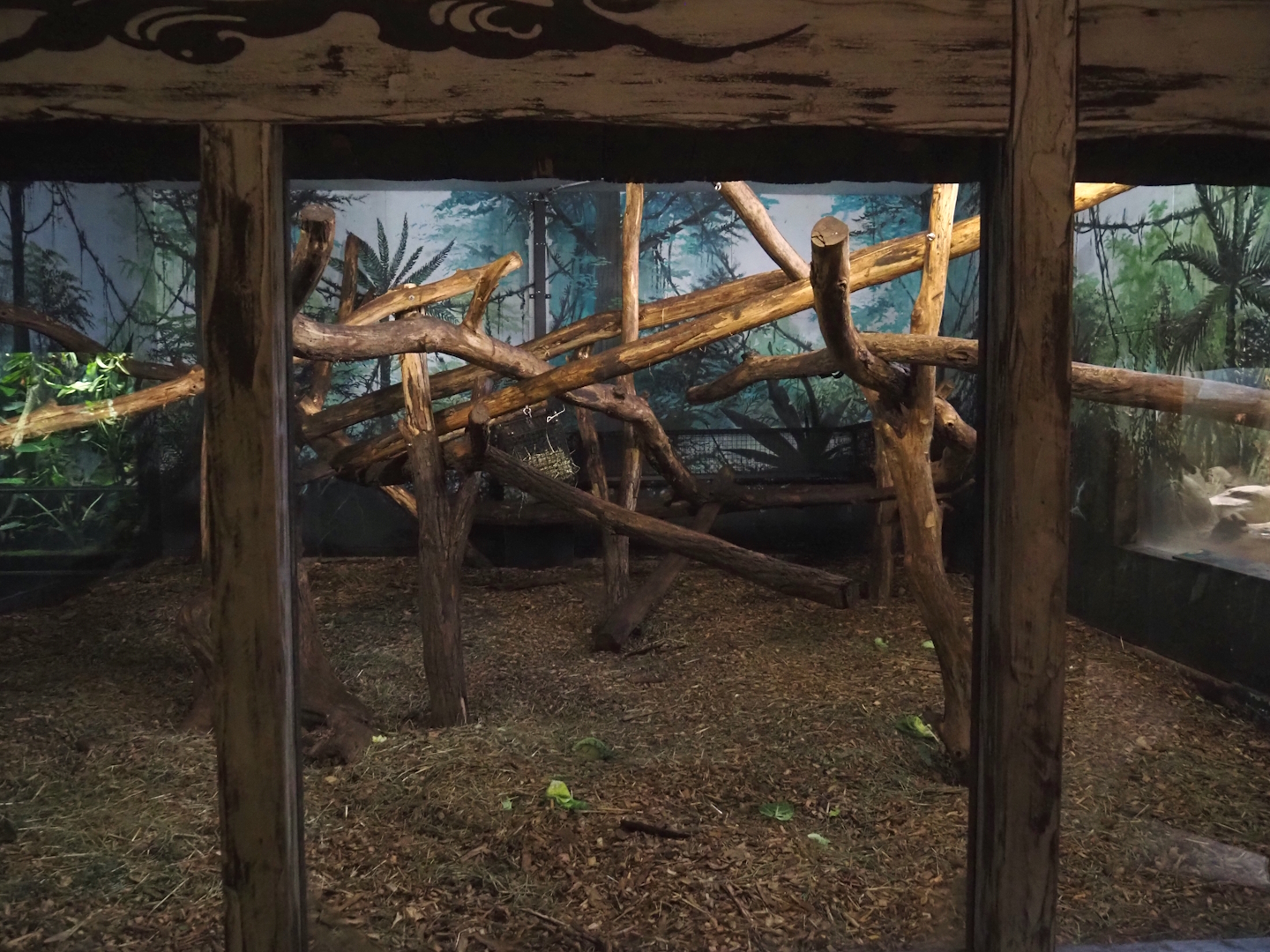 Lion-tailed macaque indoor exhibit, 2024-06-30