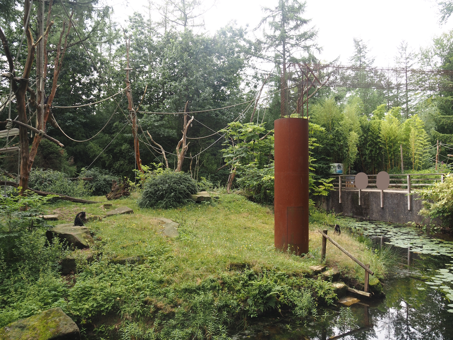 Lion-tailed macaque island, 2024-08-18