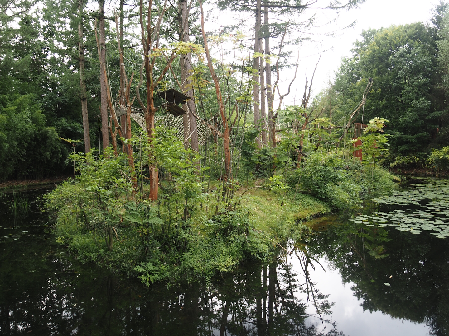 Lion-tailed macaque island, 2024-08-18