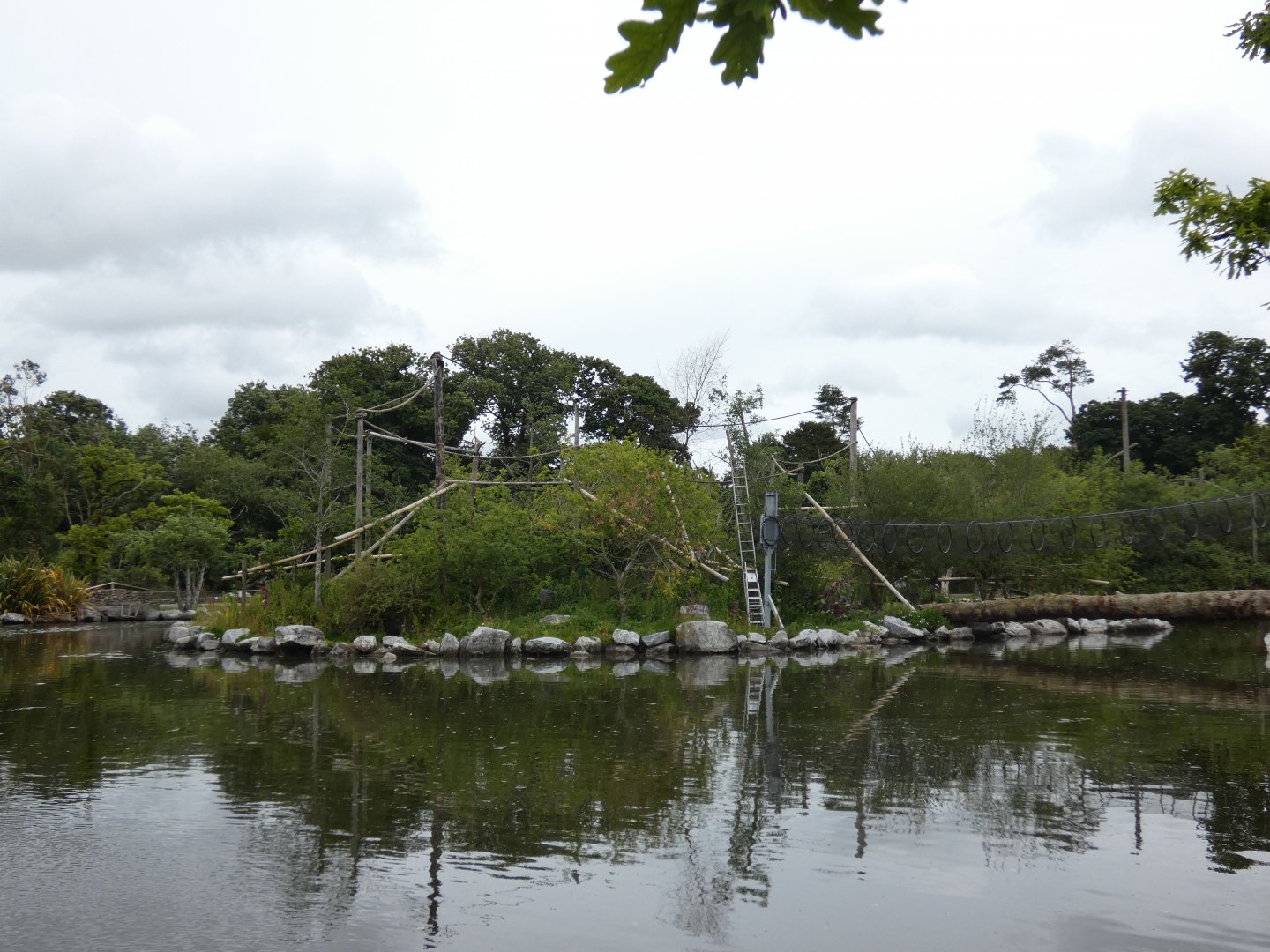 Lion-tailed macaque island
