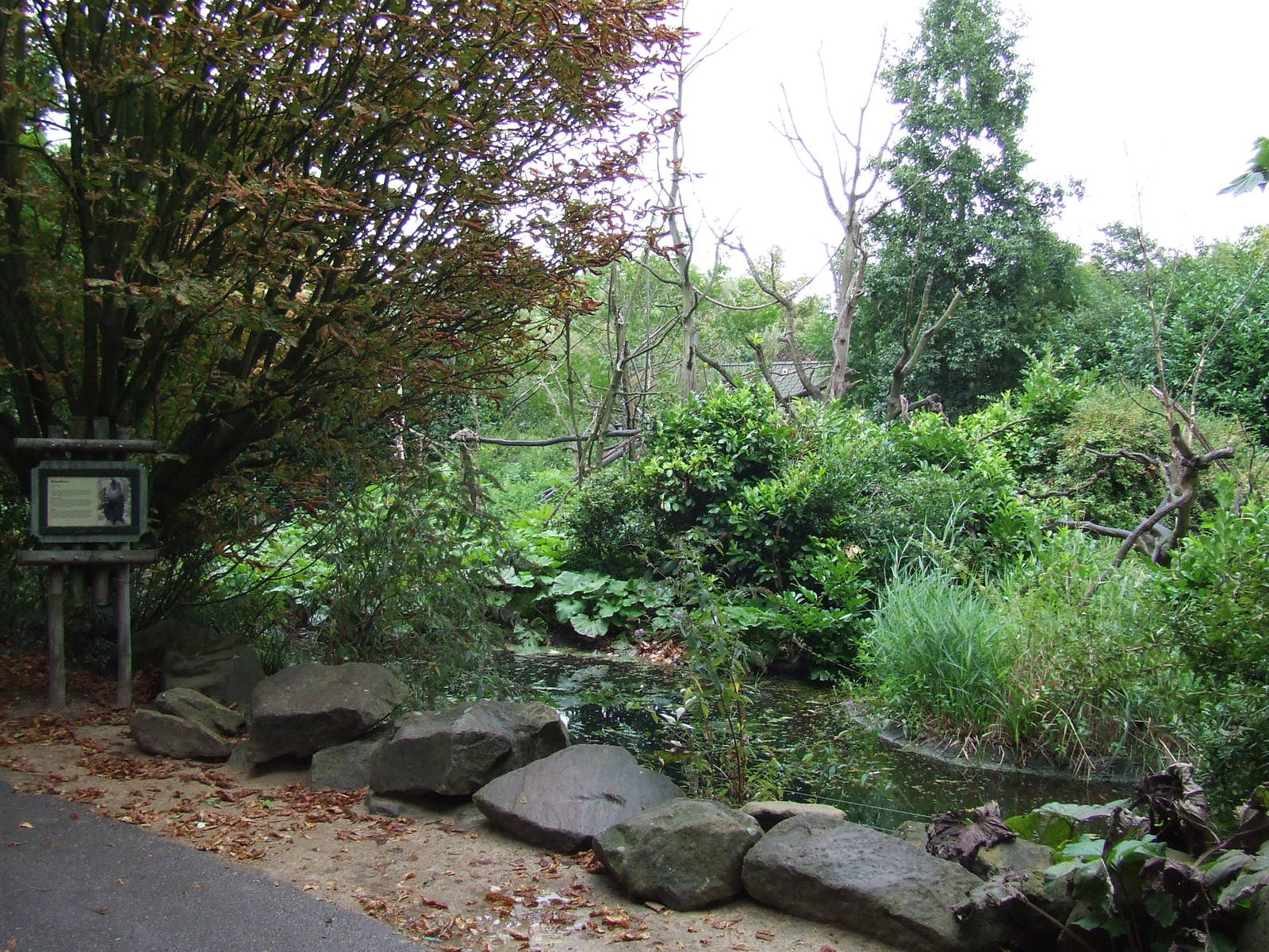 Lion-tailed Macaque island