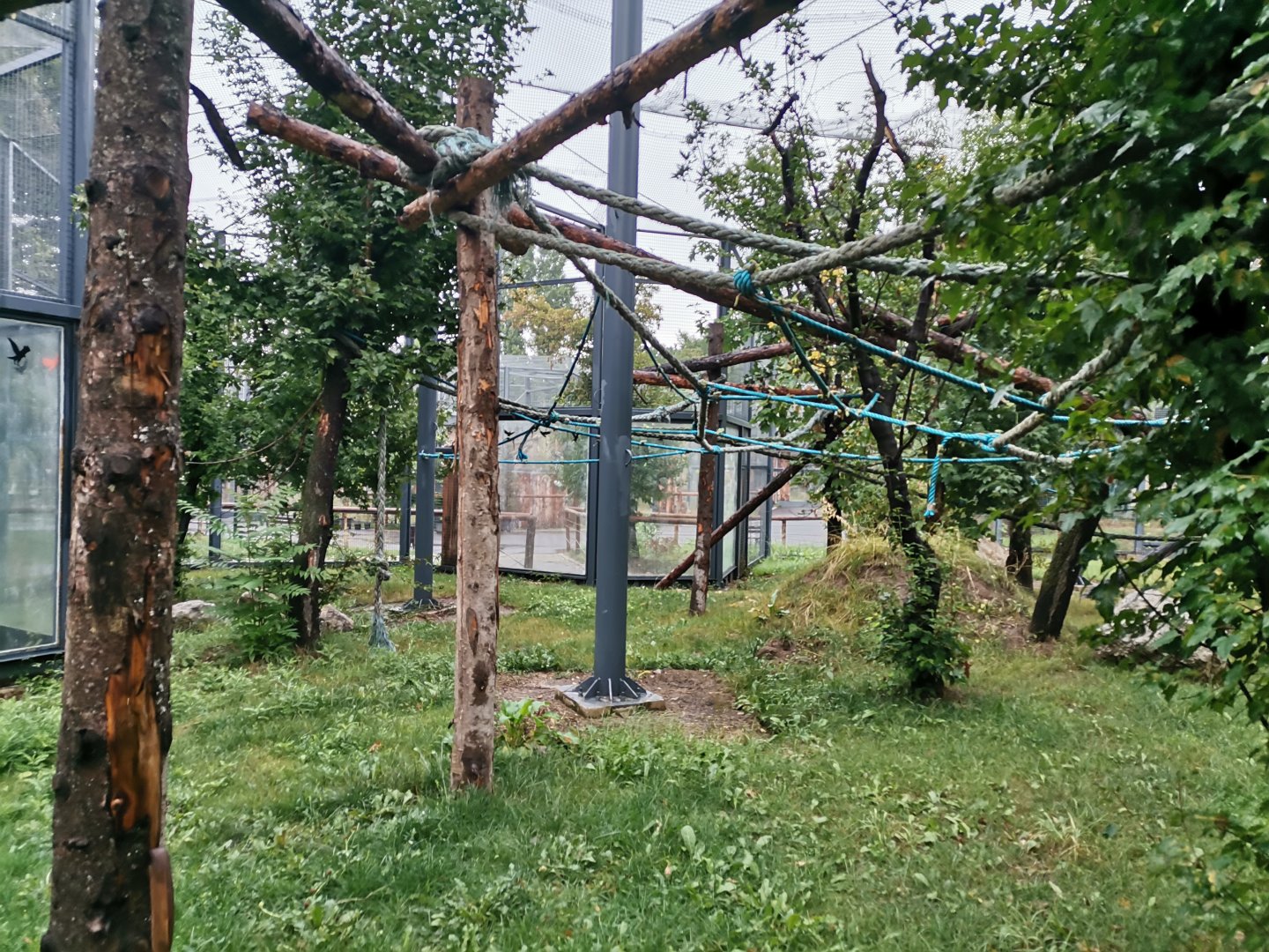 Lion-tailed Macaque new exhibit