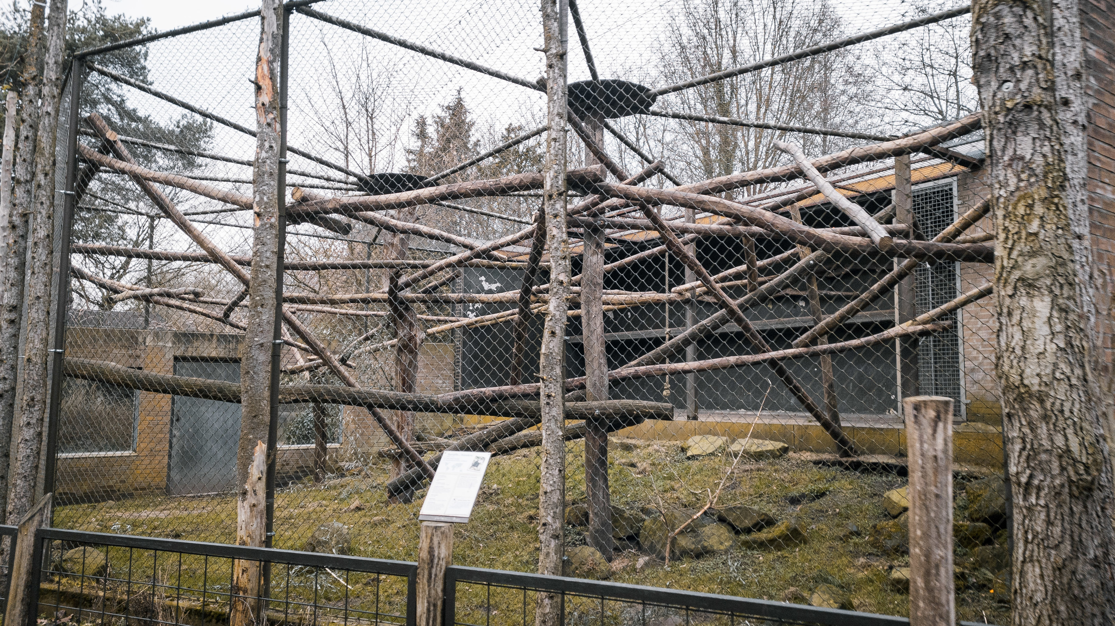 Lion-tailed Macaque outdoor cage
