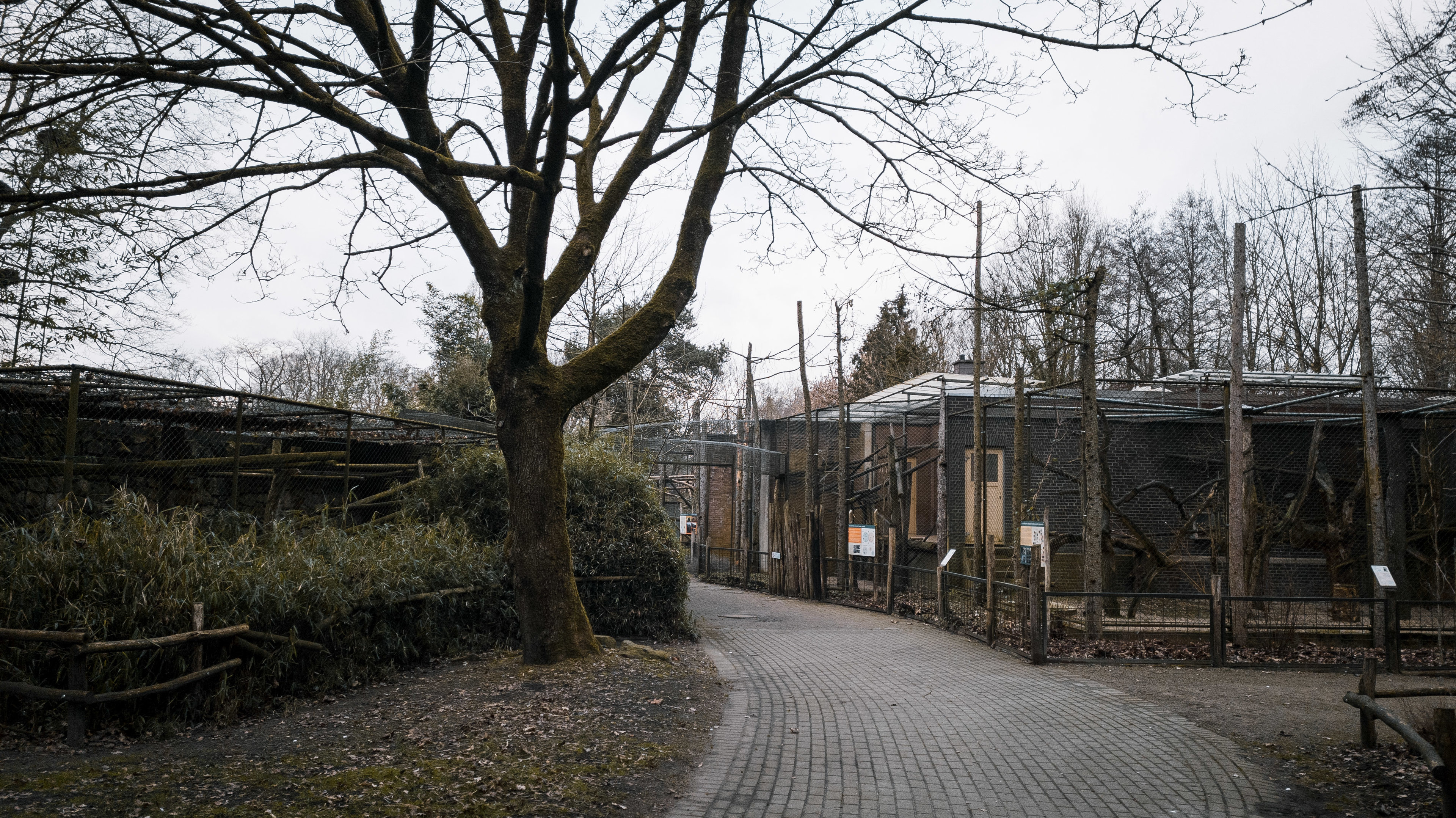 Lion-tailed Macaque outdoor cages
