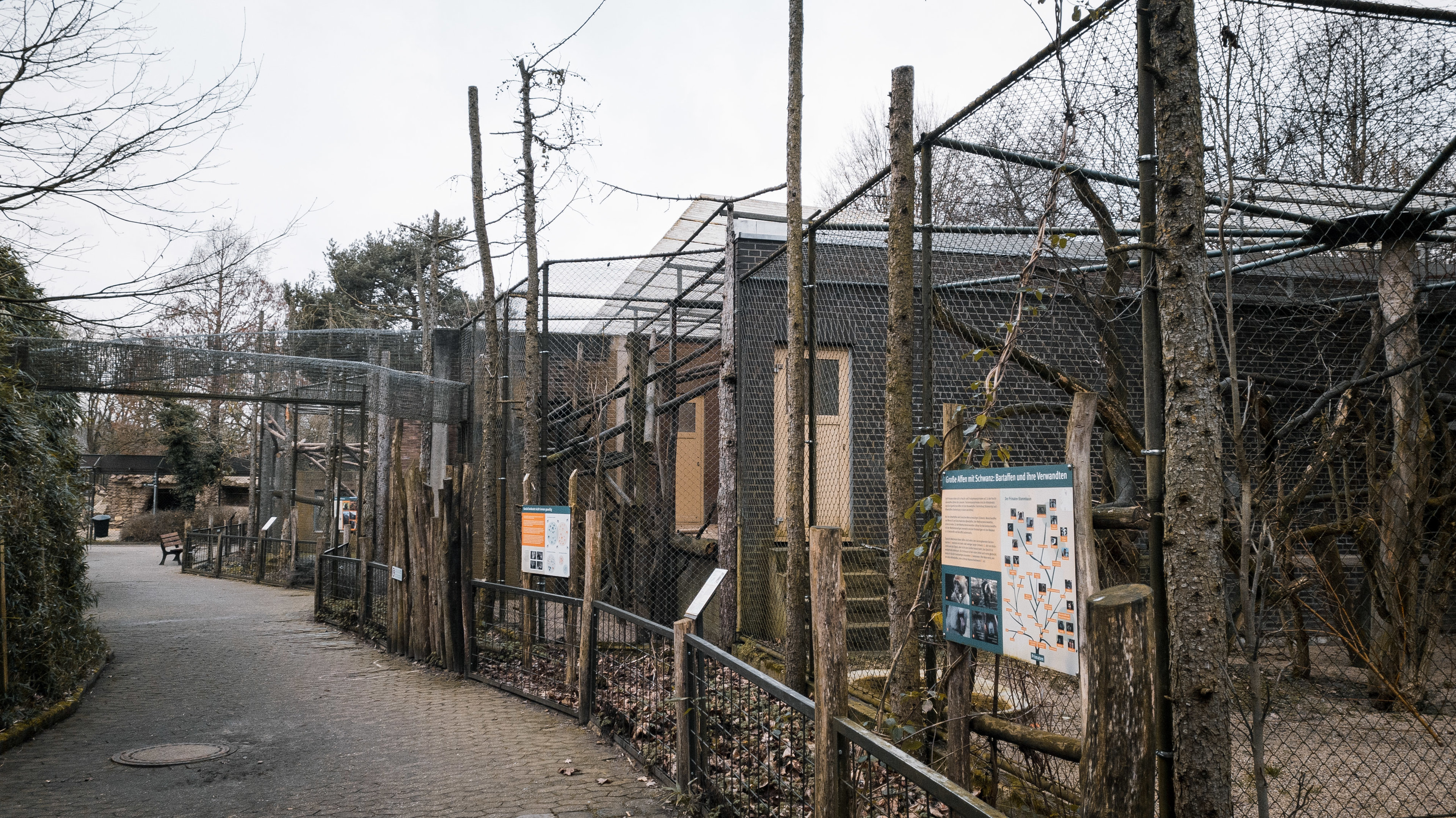 Lion-tailed Macaque outdoor cages