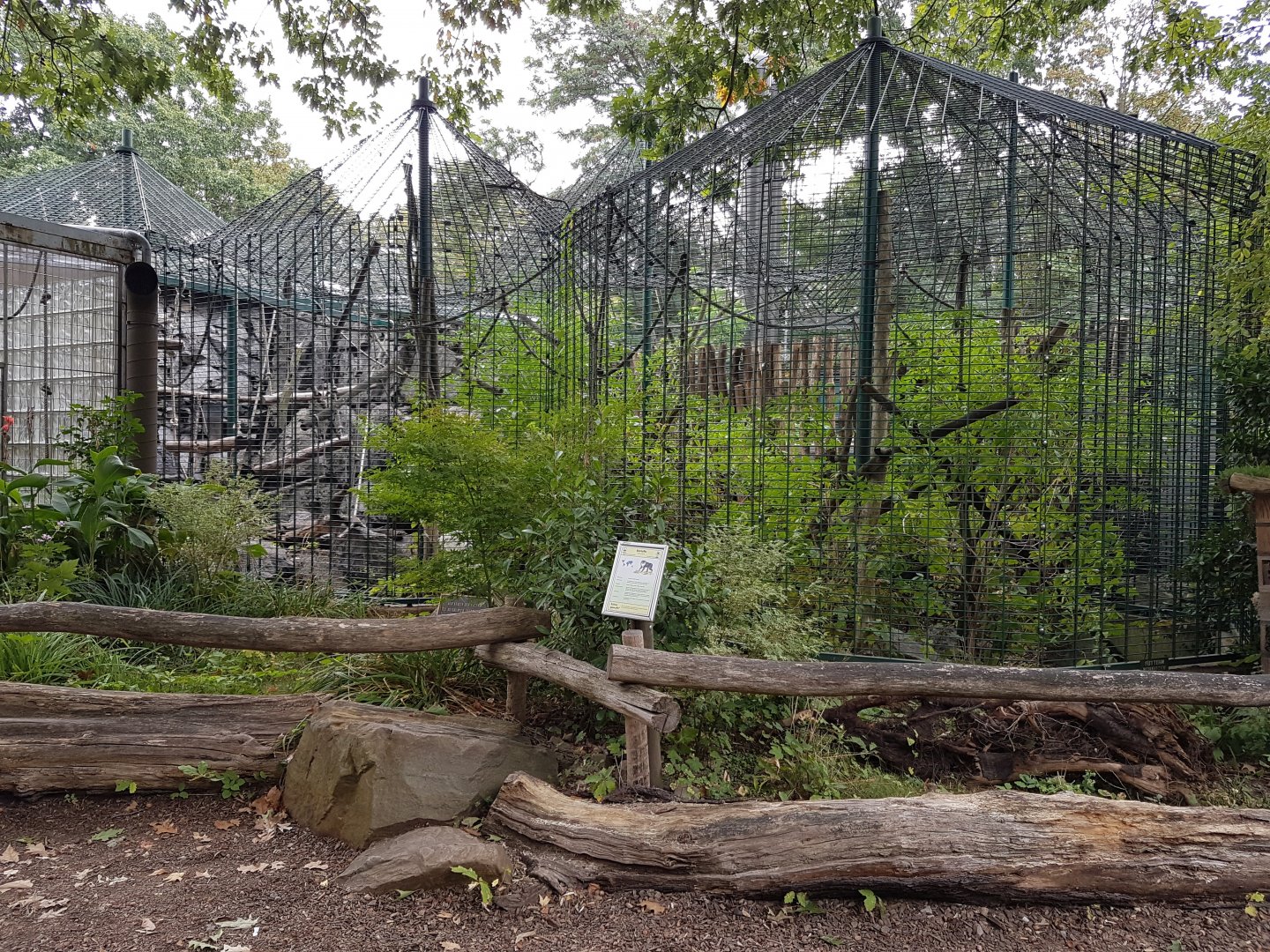 Lion-tailed macaque outdoor-enclosure